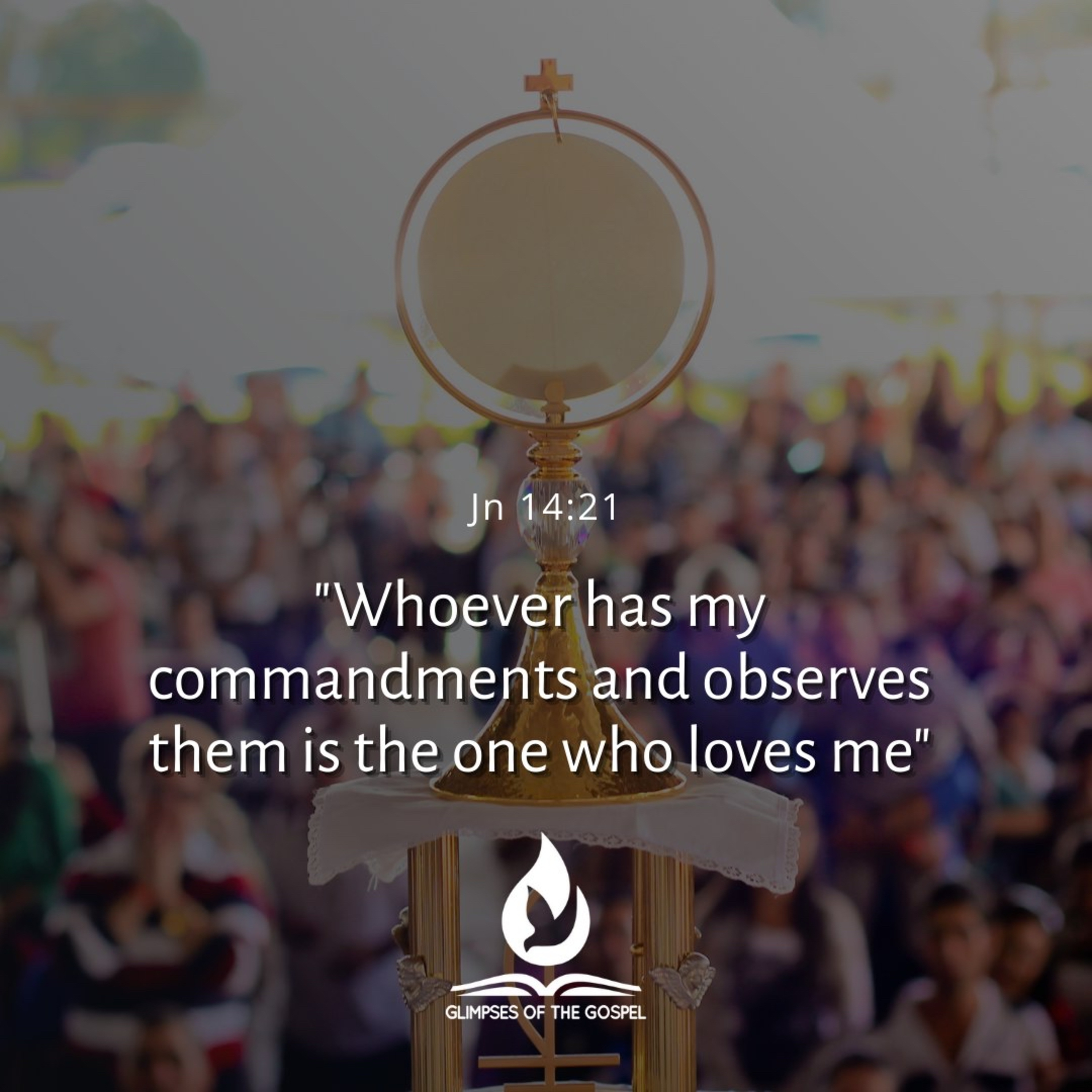 Glimpses of the Gospel