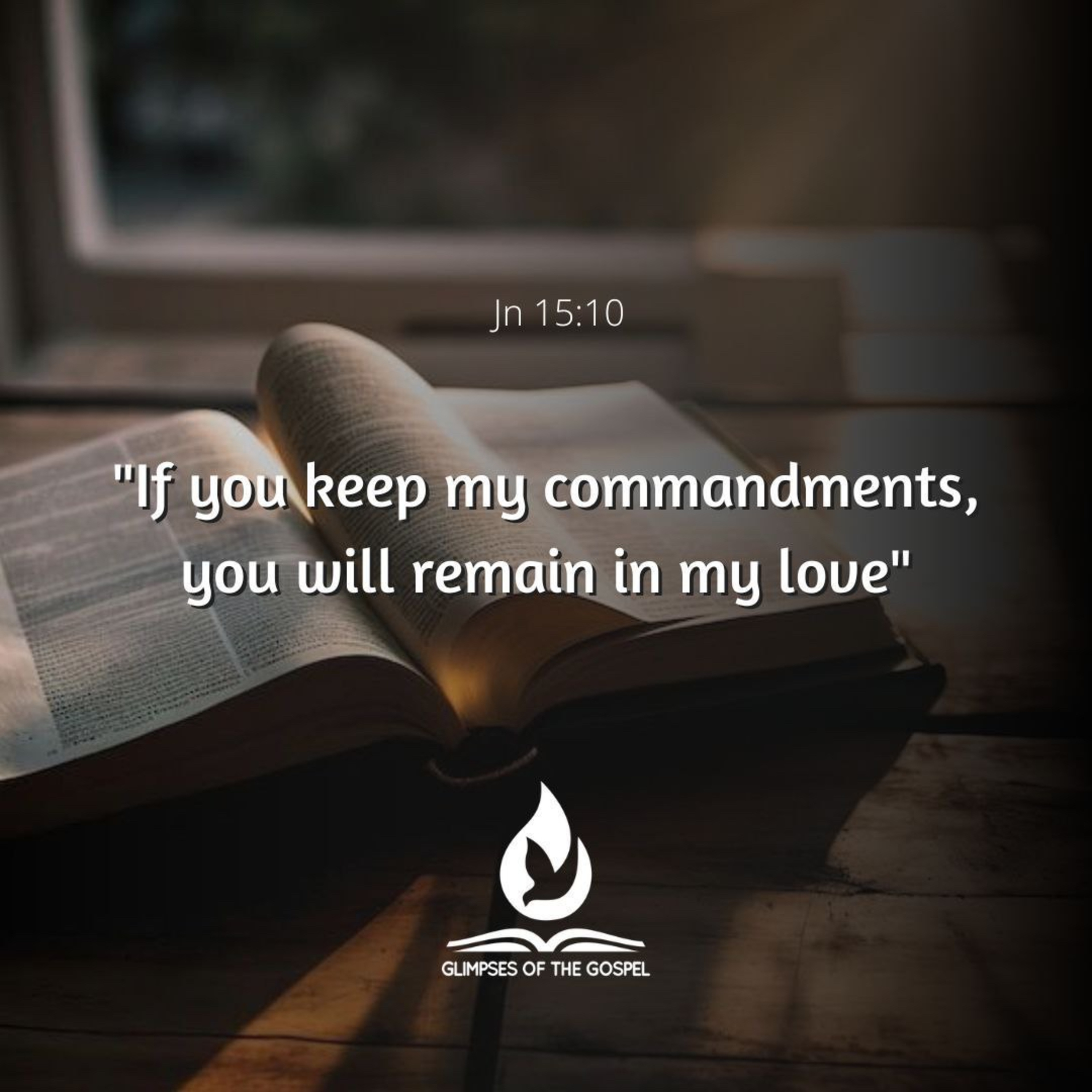 Glimpses of the Gospel