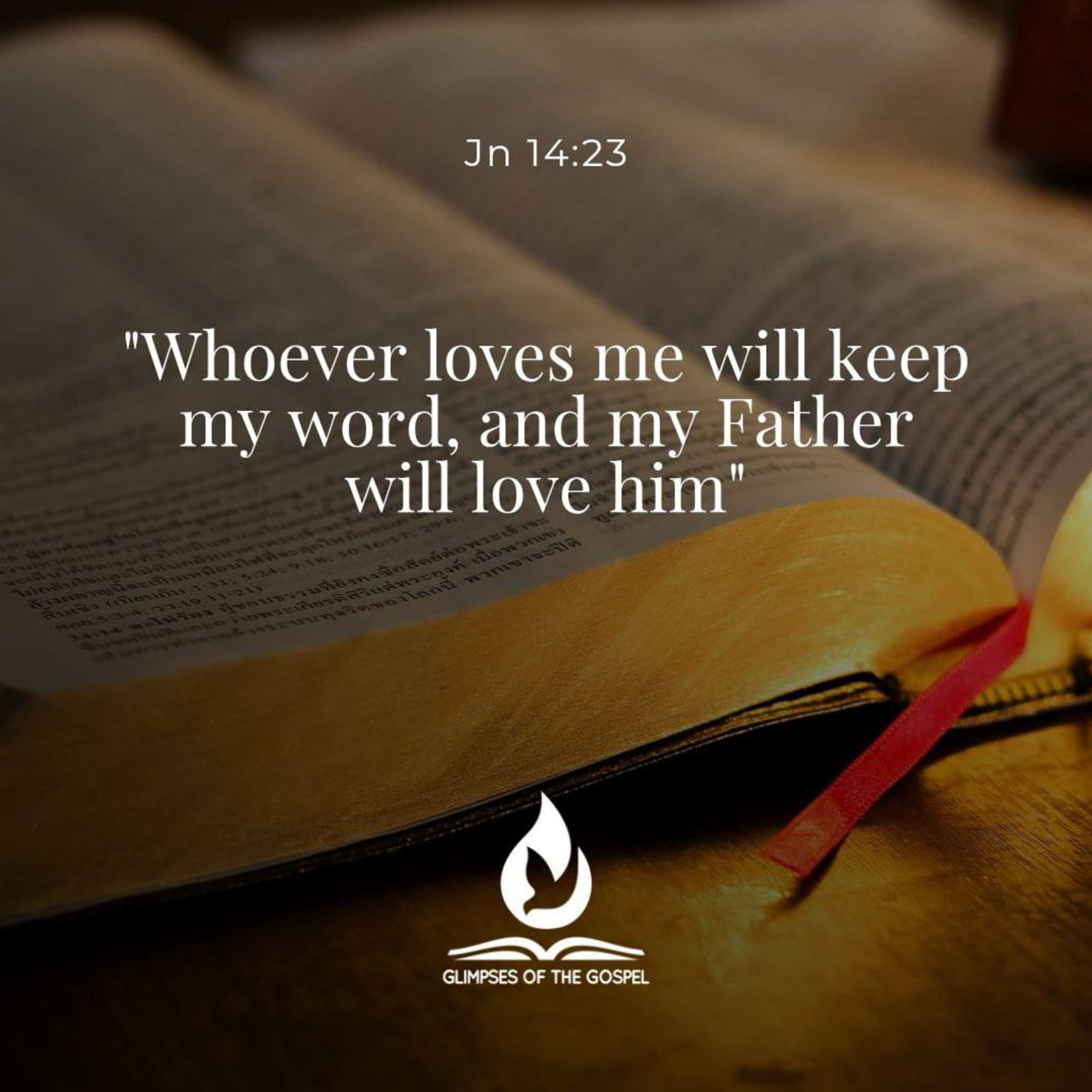 Glimpses of the Gospel