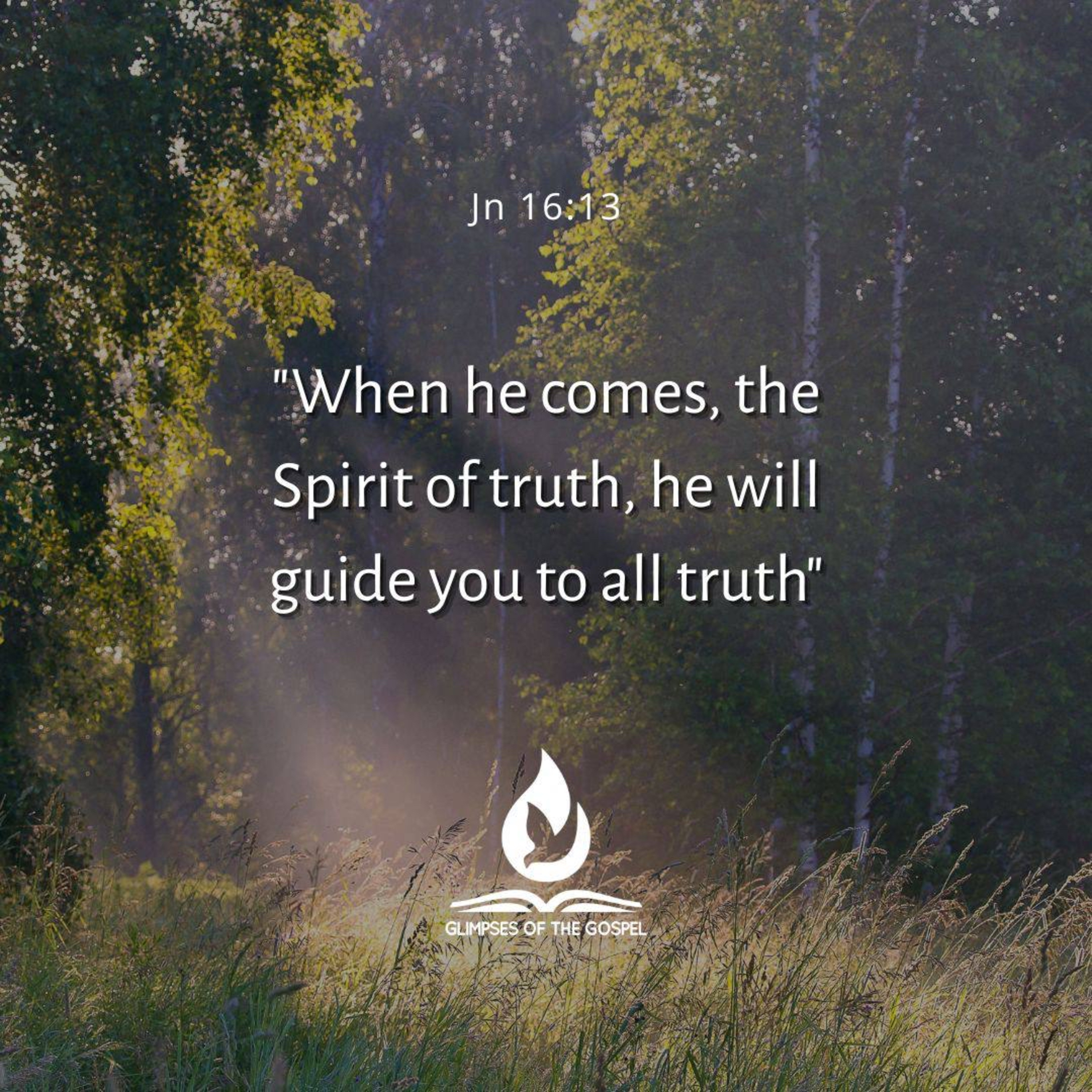 Glimpses of the Gospel
