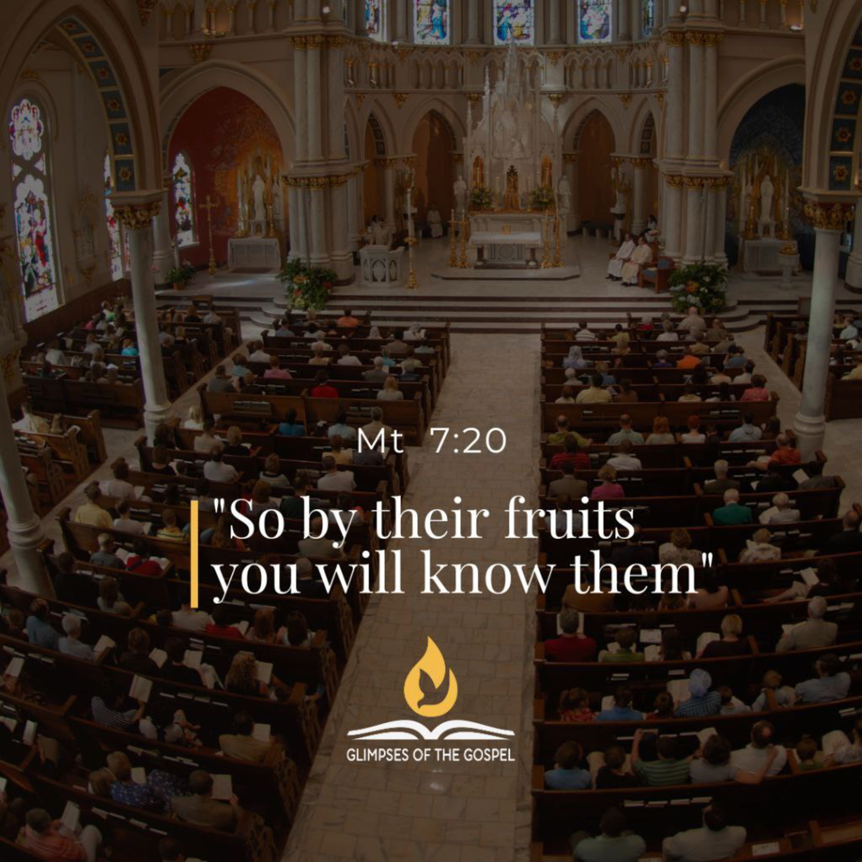 Glimpses of the Gospel