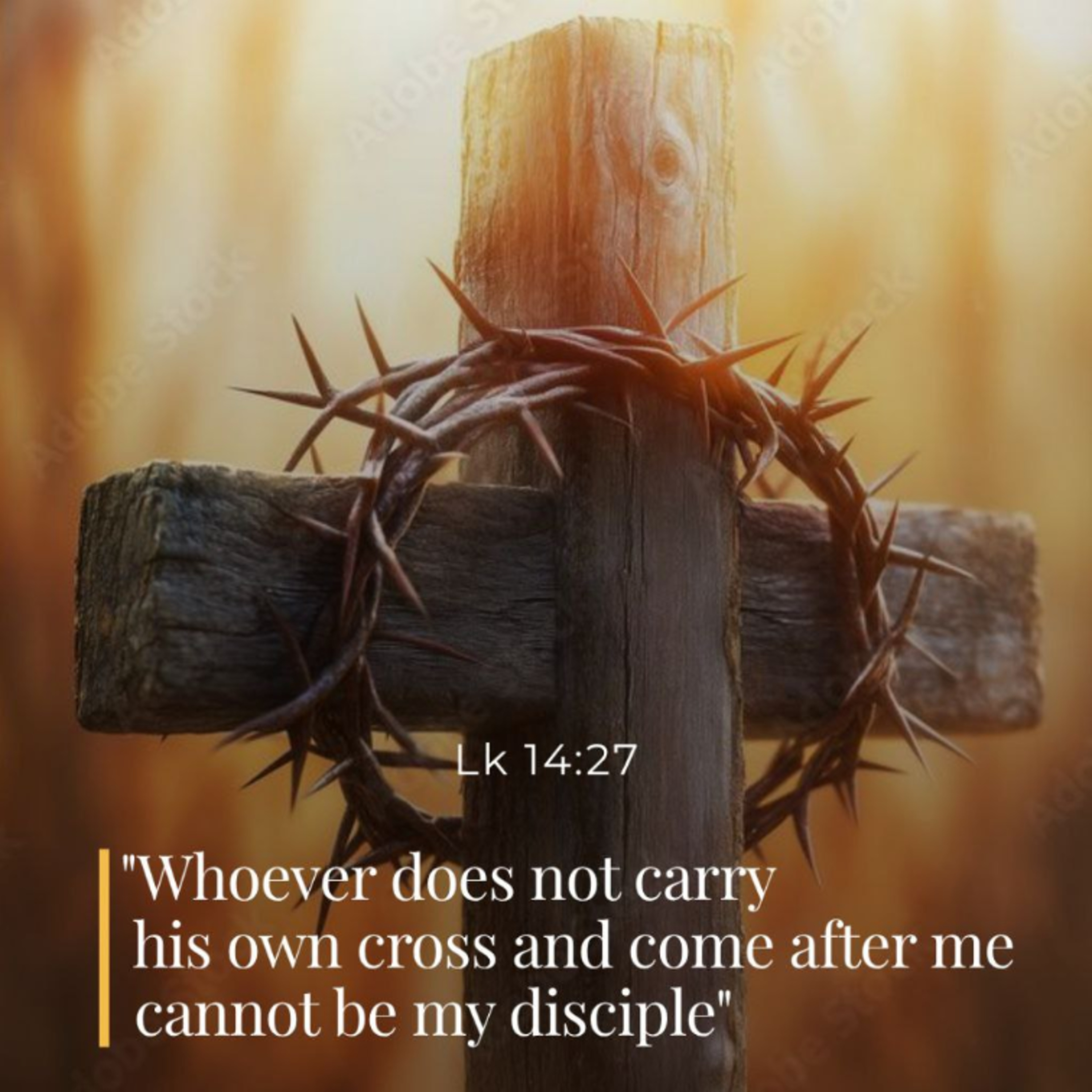 November 5th 2025 - XXXI Wednesday in Ordinary Time episode artwork