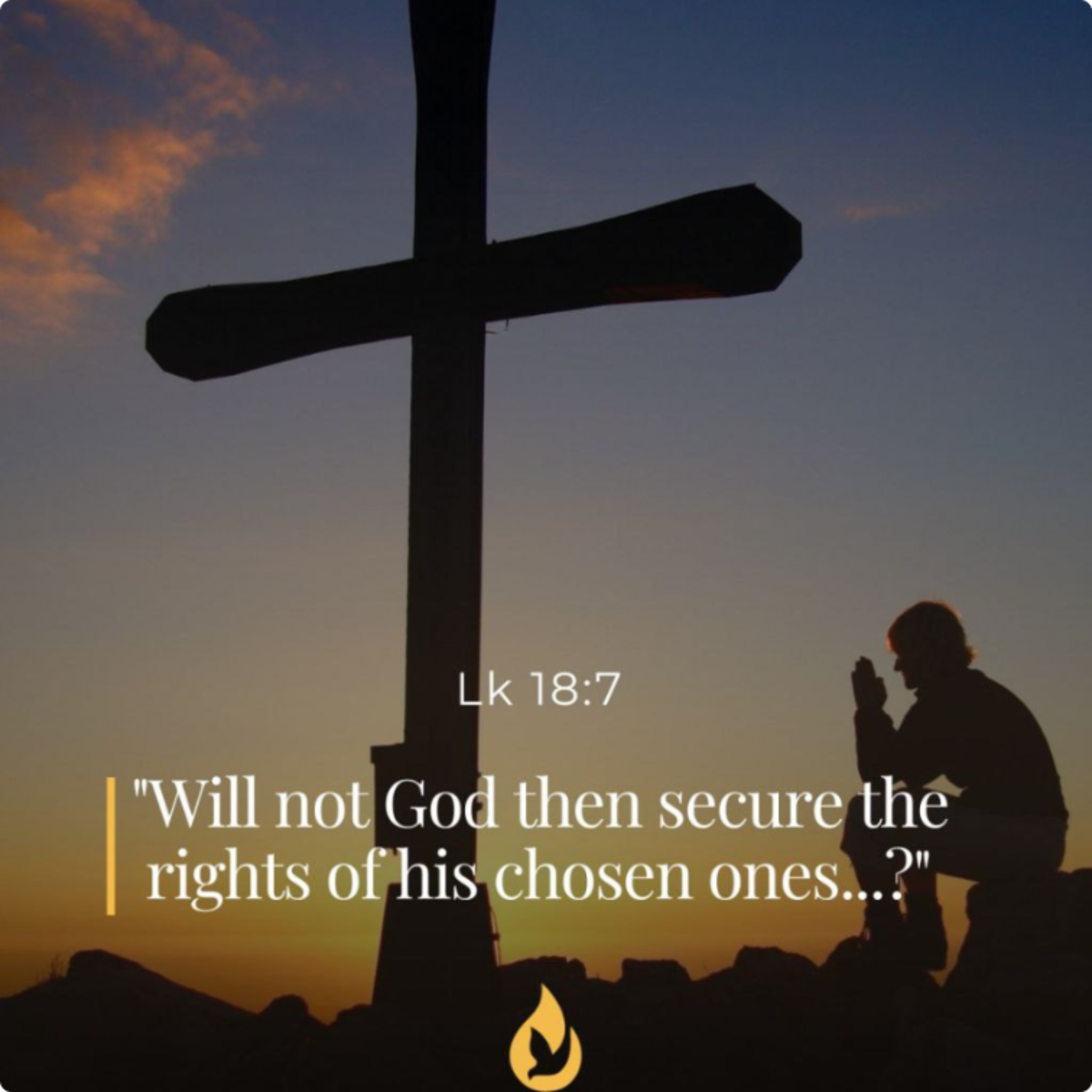 November 15, 2025 - XXXII Saturday in Ordinary Time episode artwork