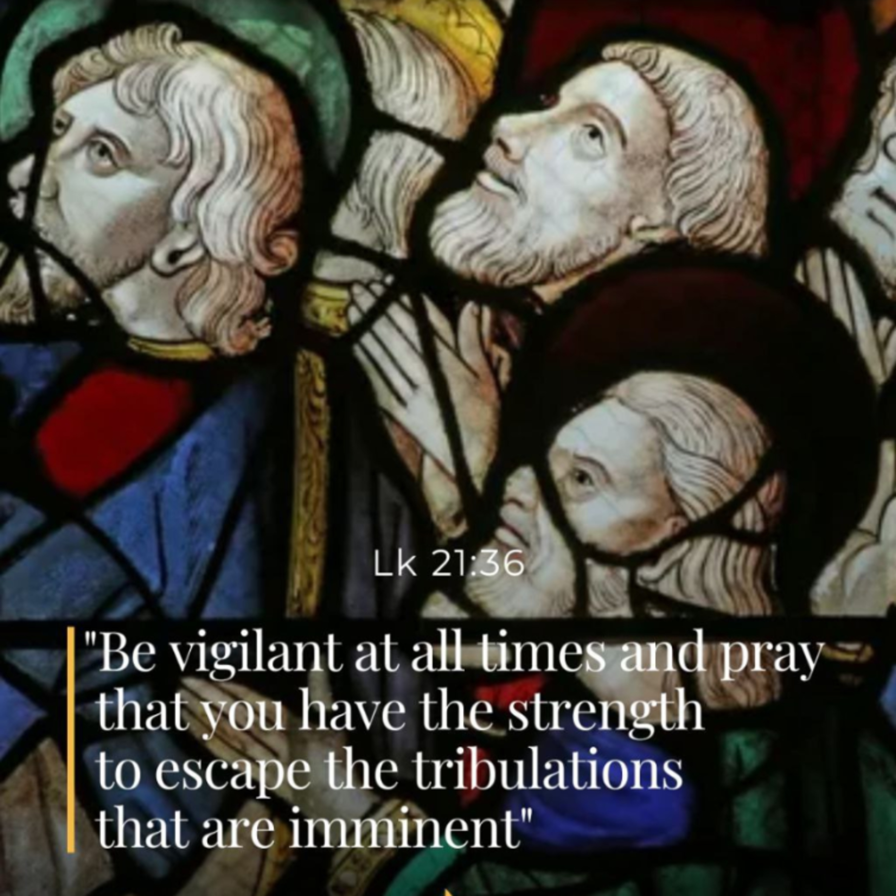 November 29th, 2025 - XXXIV Saturday in Ordinary Time episode artwork