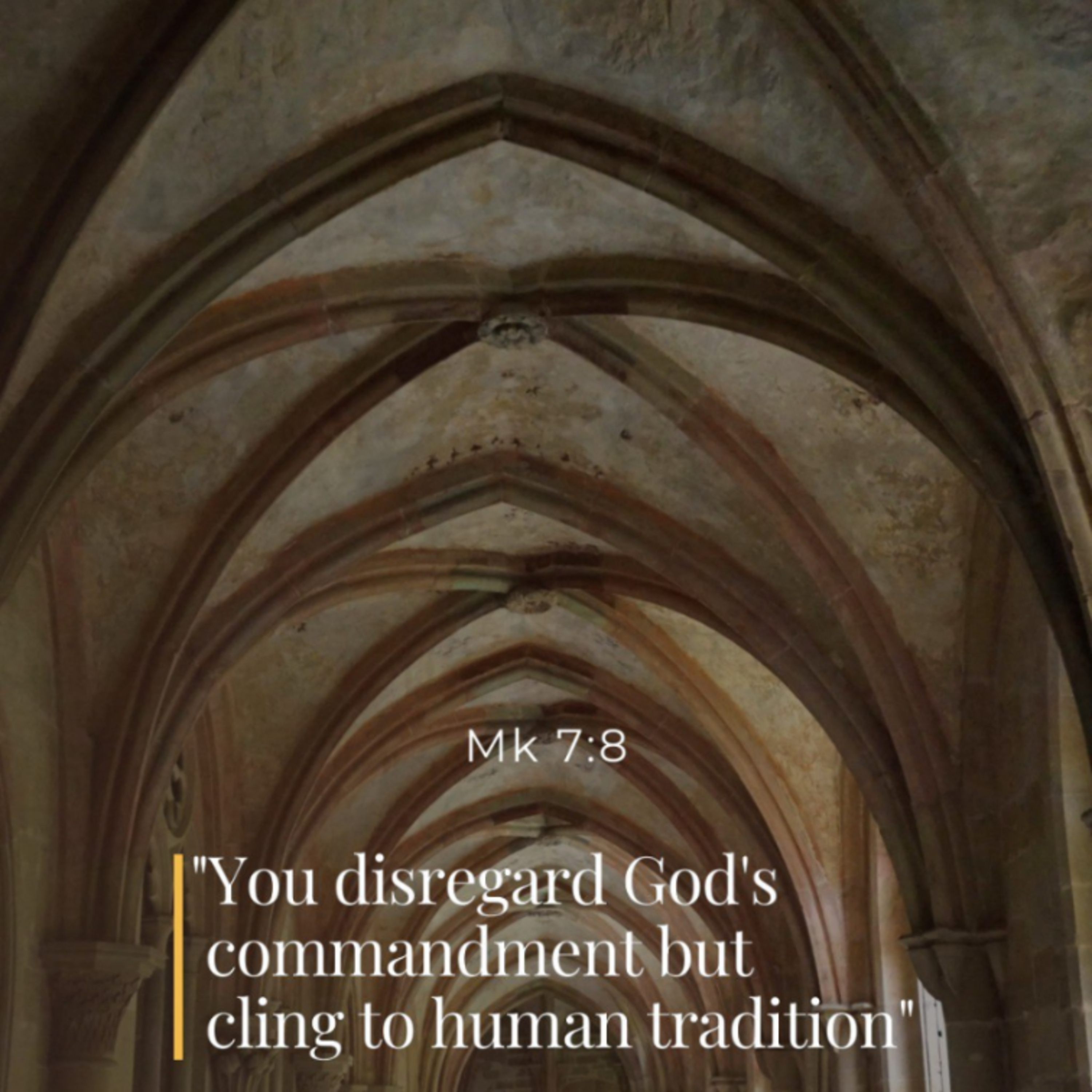 February 7, 2023 - V Tuesday in Ordinary Time + Saint Scholastica, Virgin  episode artwork