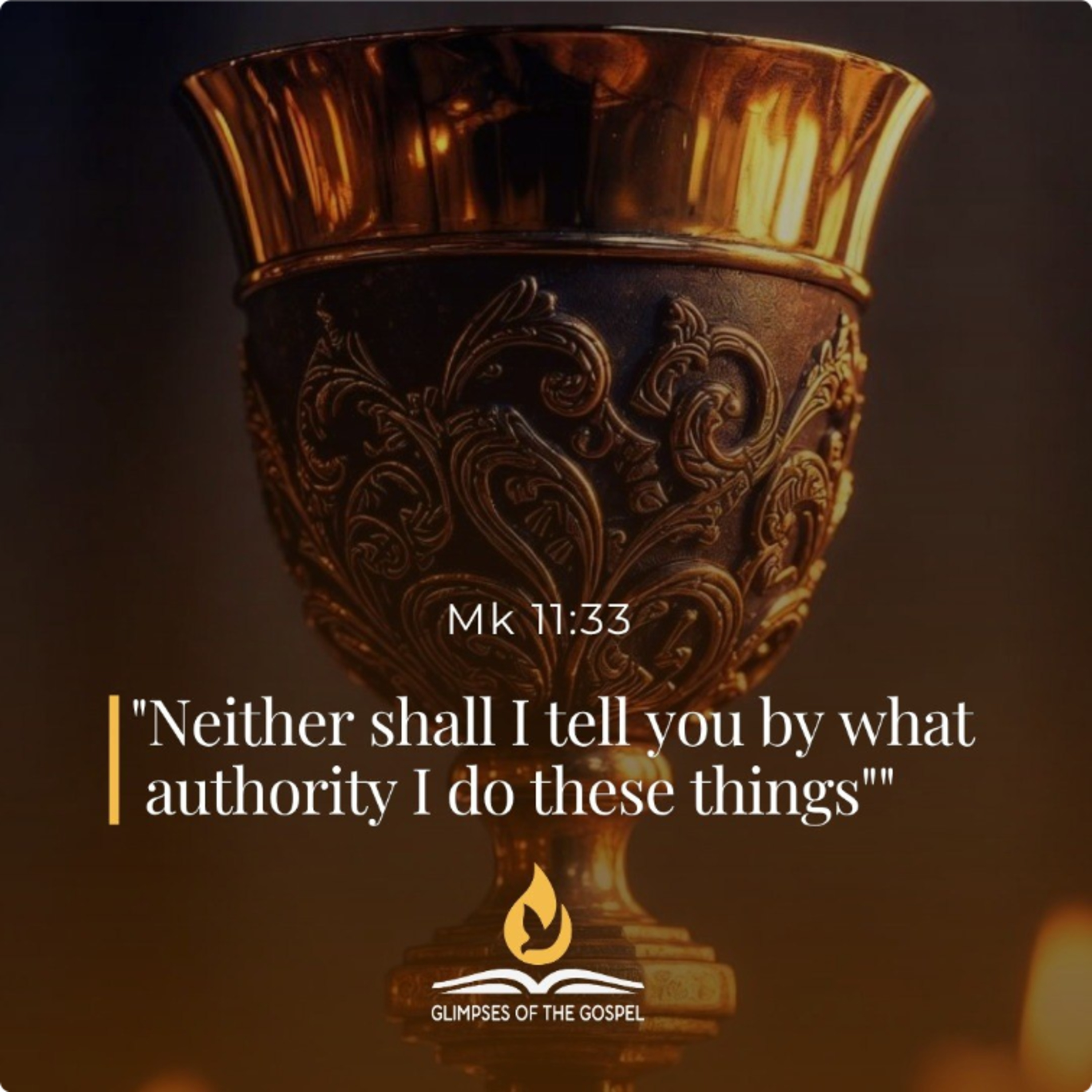 May 30th, 2026 - VIII Saturday in Ordinary Time episode artwork