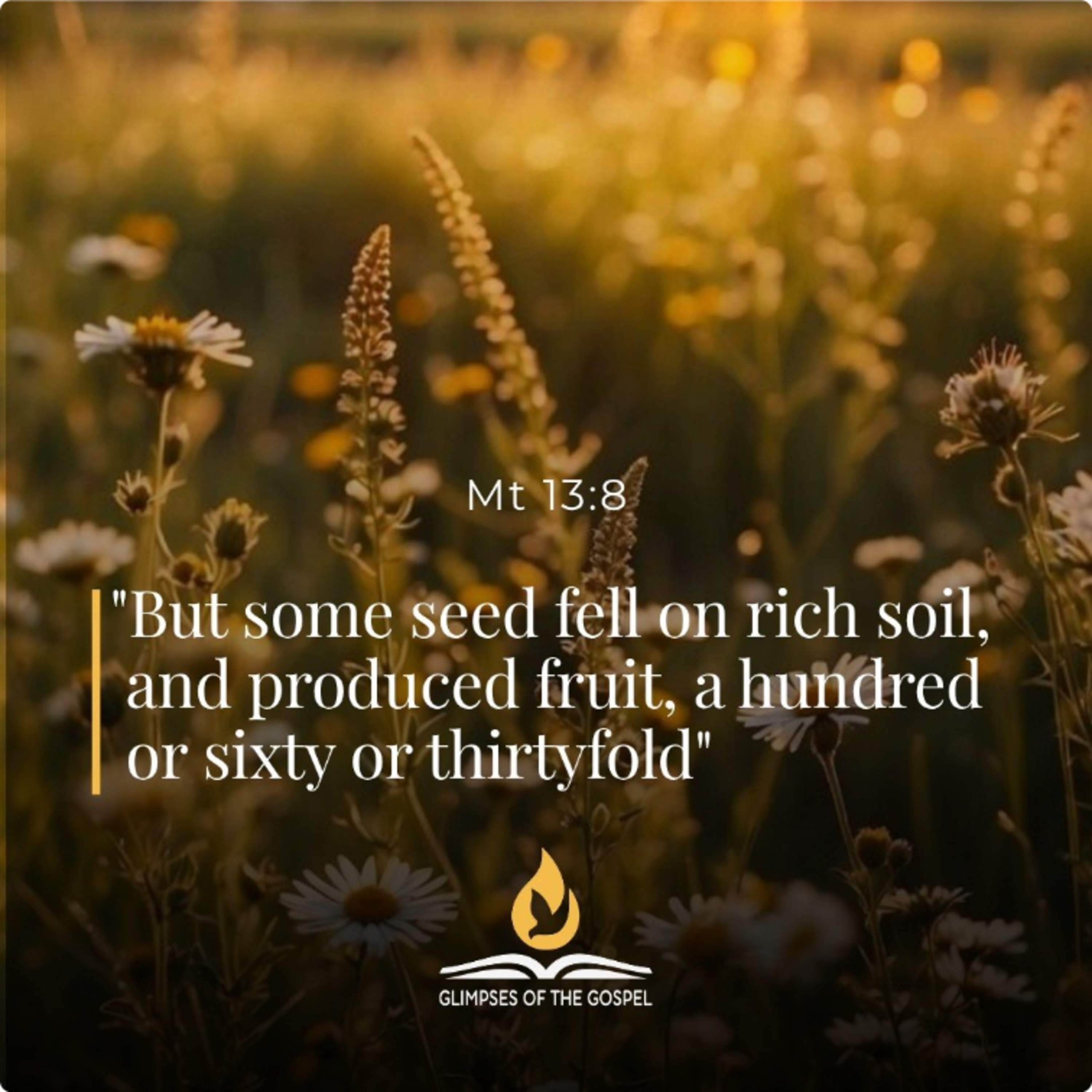 July 12th 2026 - XV Sunday in Ordinary Time  episode artwork