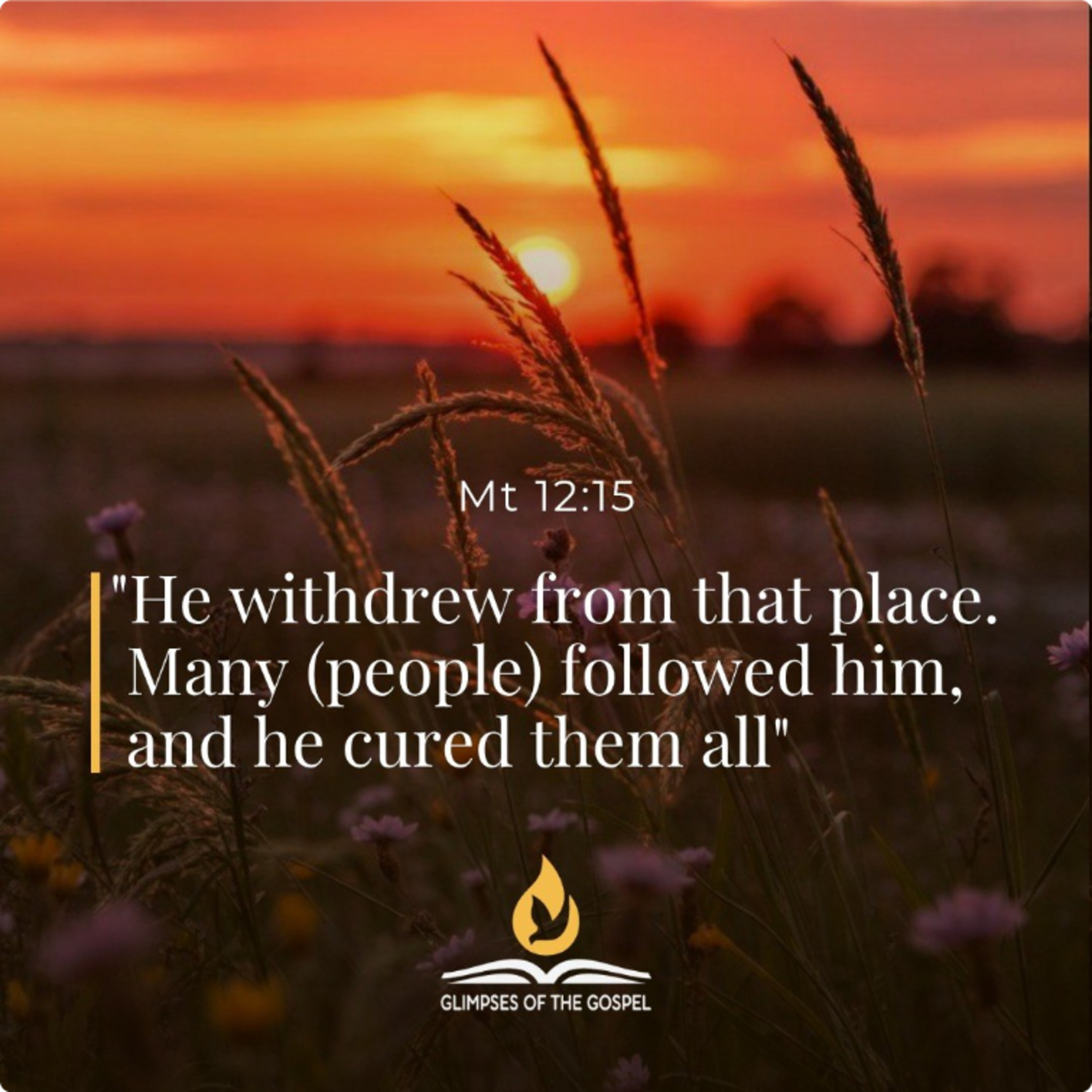 July 18, 2026 - XV Saturday in Ordinary Time episode artwork