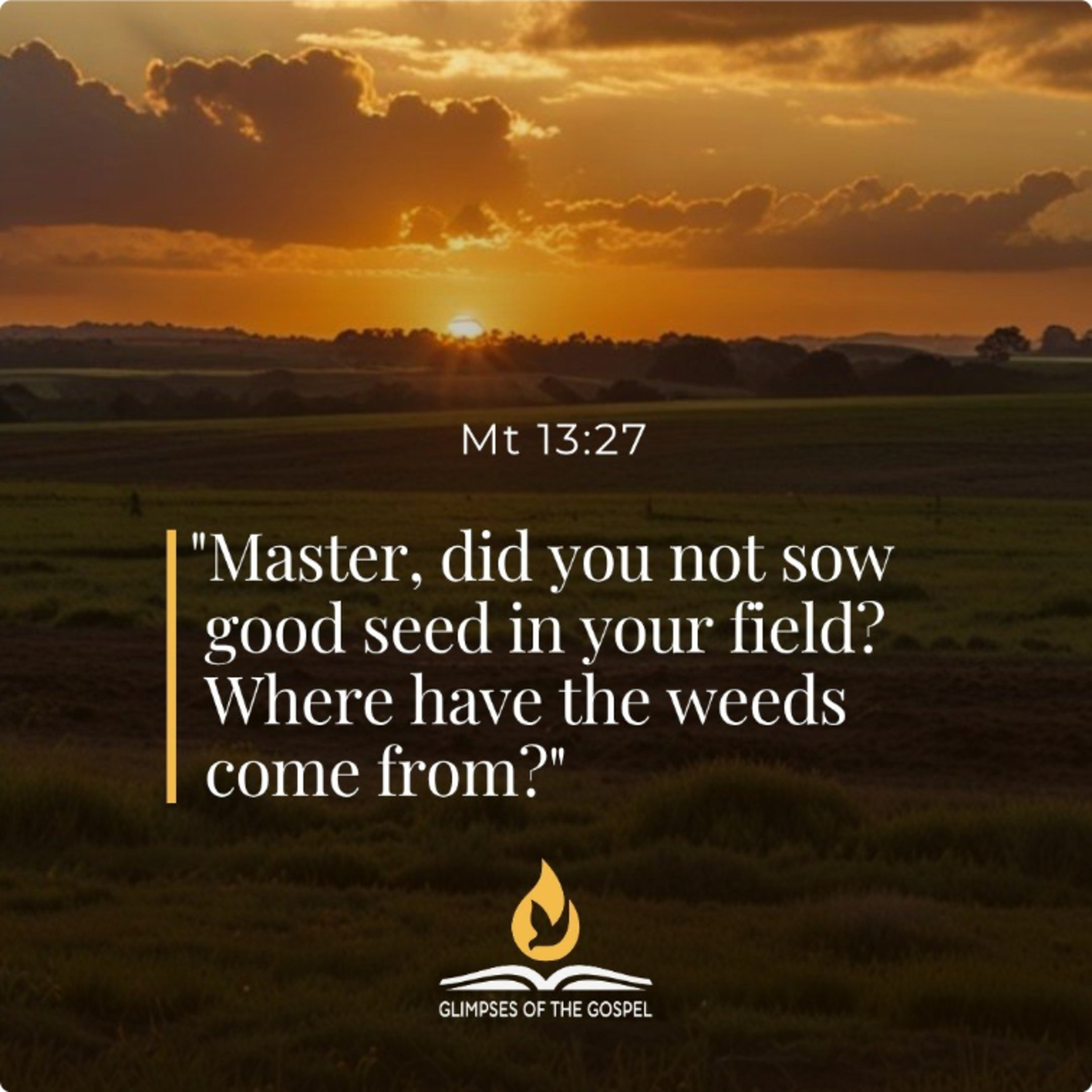 July 19th, 2026 - XVI Sunday in Ordinary Time episode artwork