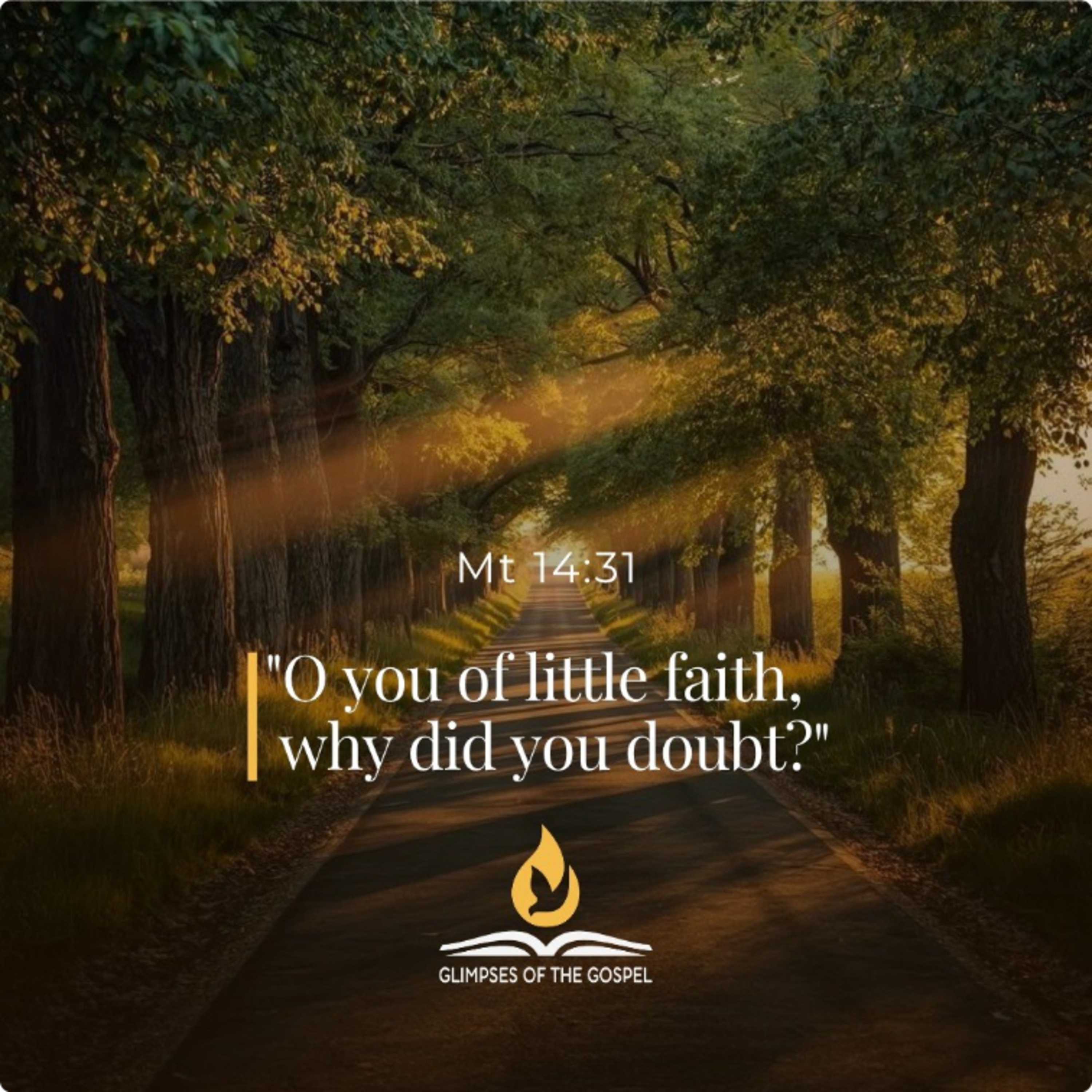 August 9th, 2026 - XIX Sunday in Ordinary Time episode artwork