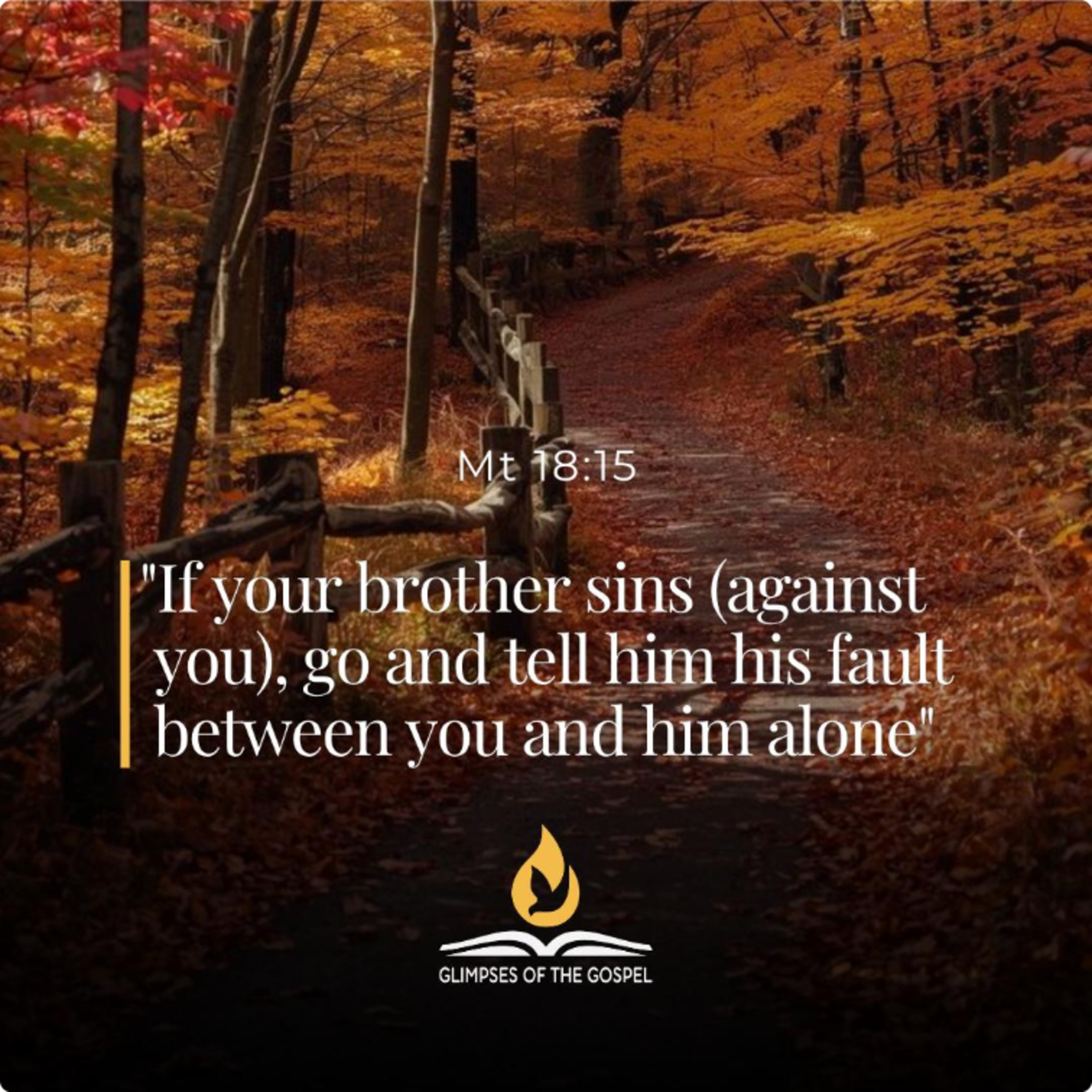 August 12th 2026 - XIX Wednesday in Ordinary Time episode artwork