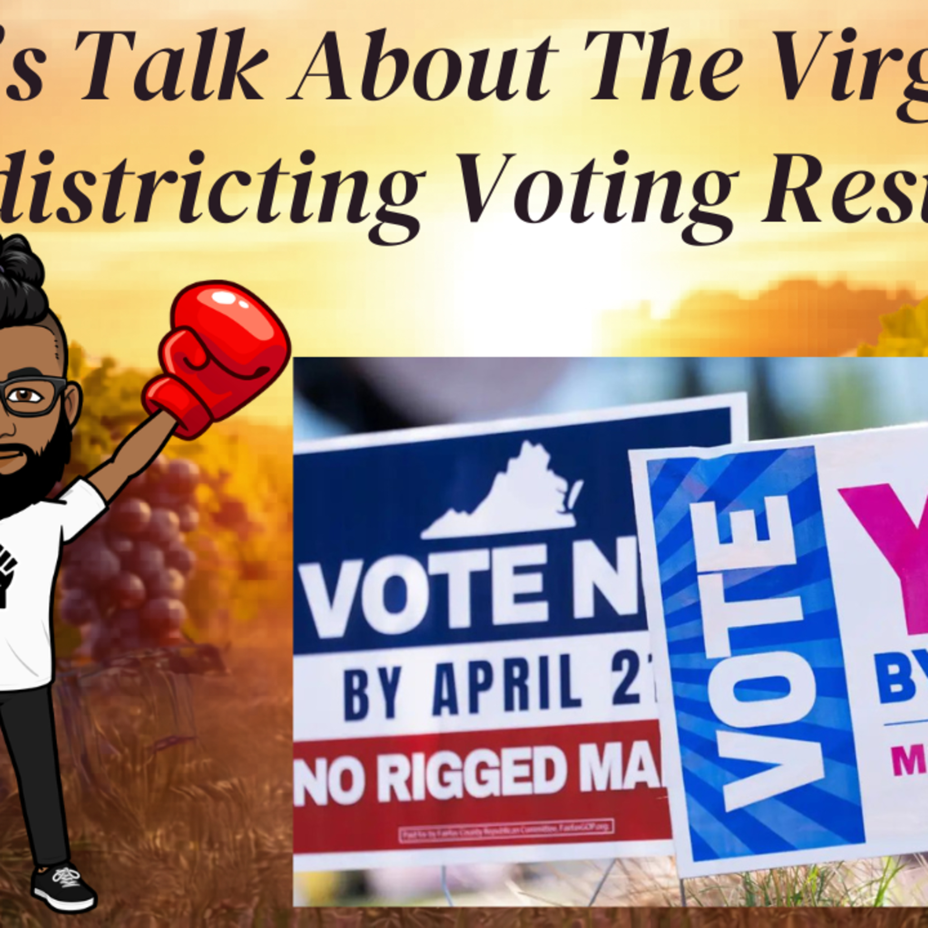 Season 12 Episode 16: The Virginia Redistricting Voting Results. episode artwork