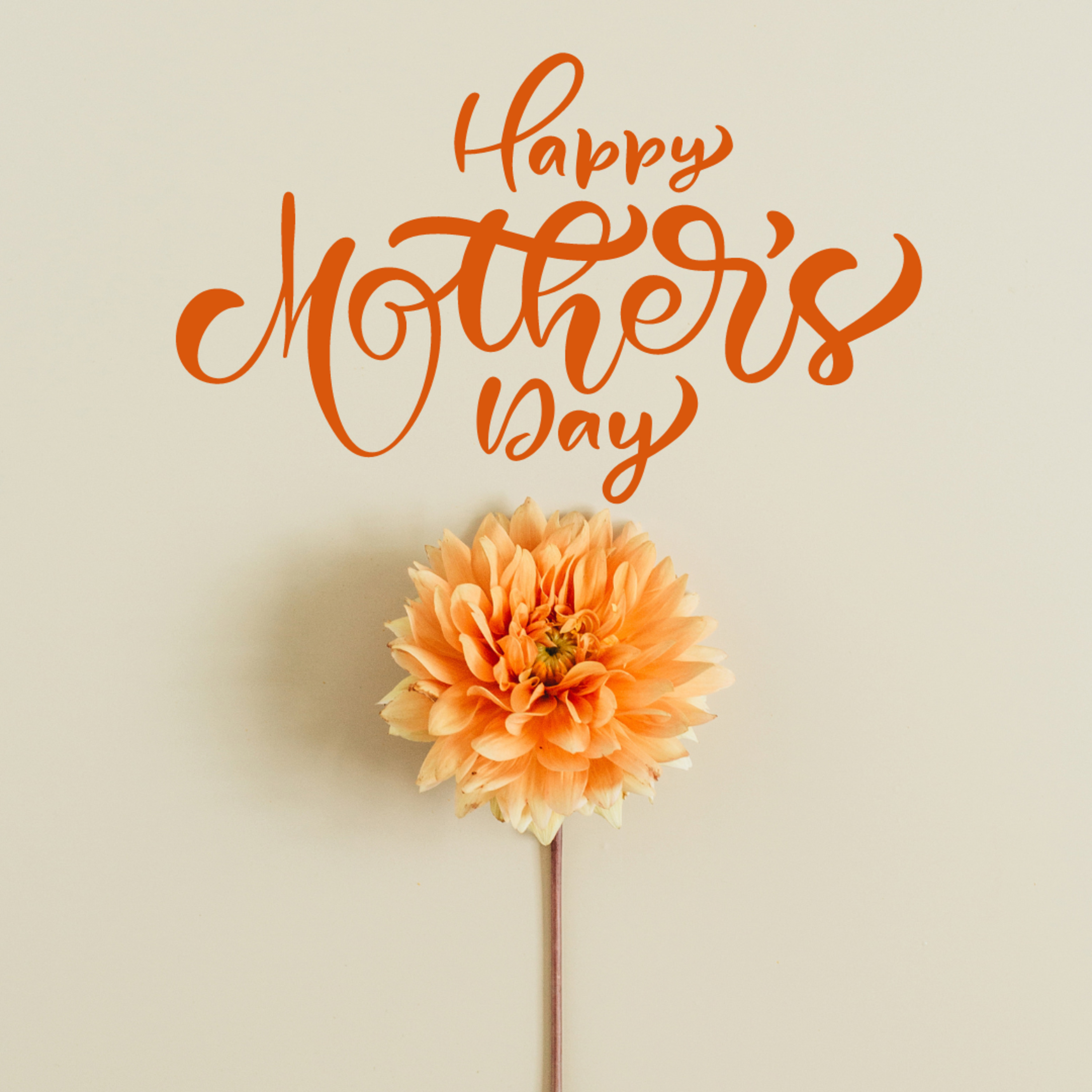 Feliz día de TODAS las Madres episode artwork