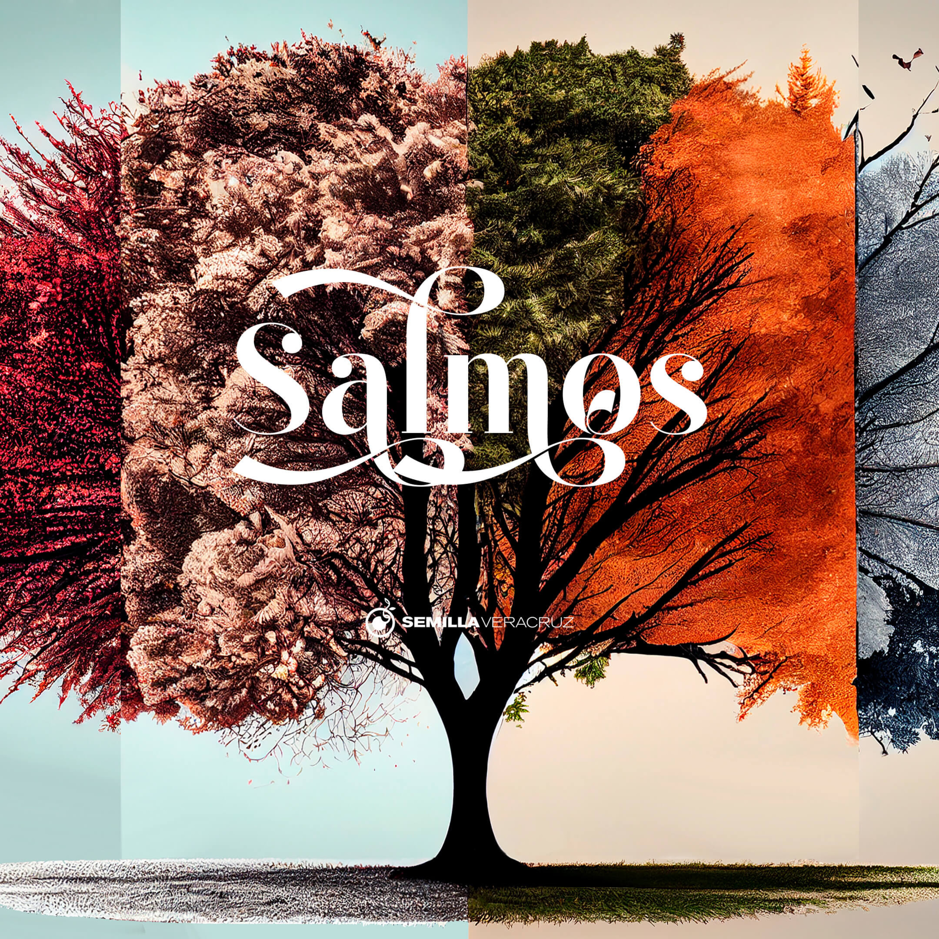 Dios es nuestro Pastor: Su Palabra nos guía y nos rescata. Salmos Cap.119:145 al 176 episode artwork