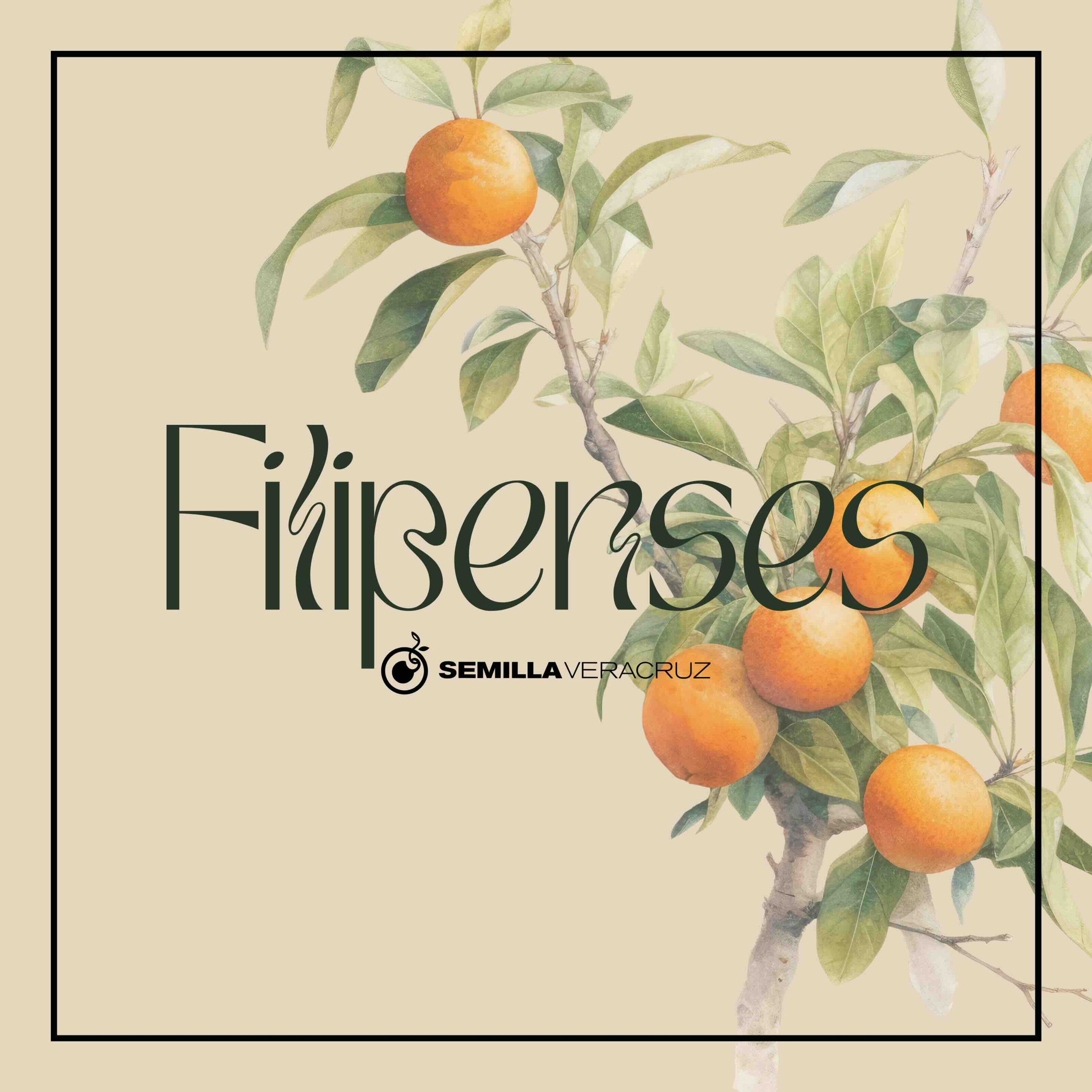 Semilla Veracruz Podcast