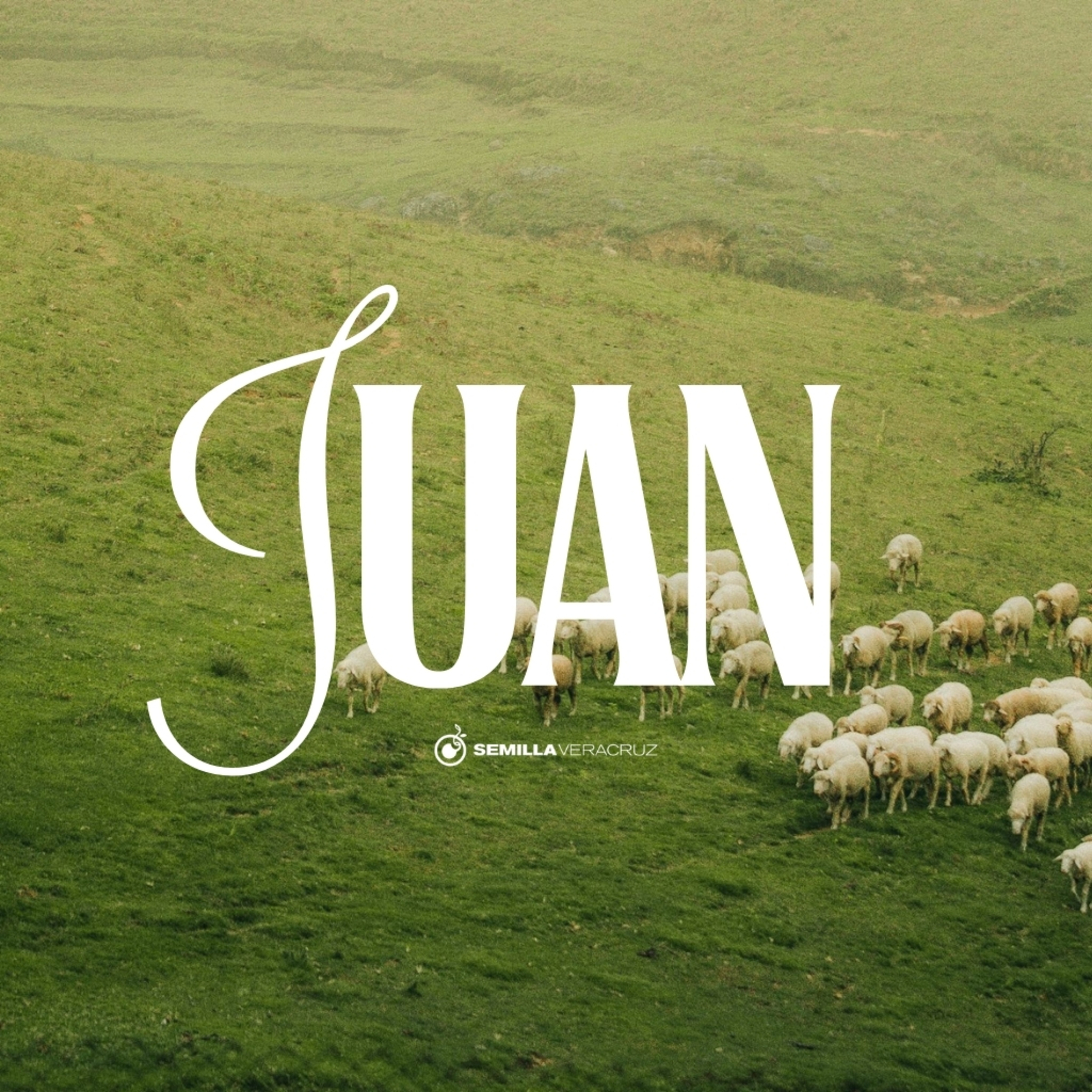 Juan 1:14–28 | Jesús, la gracia hecha carne episode artwork