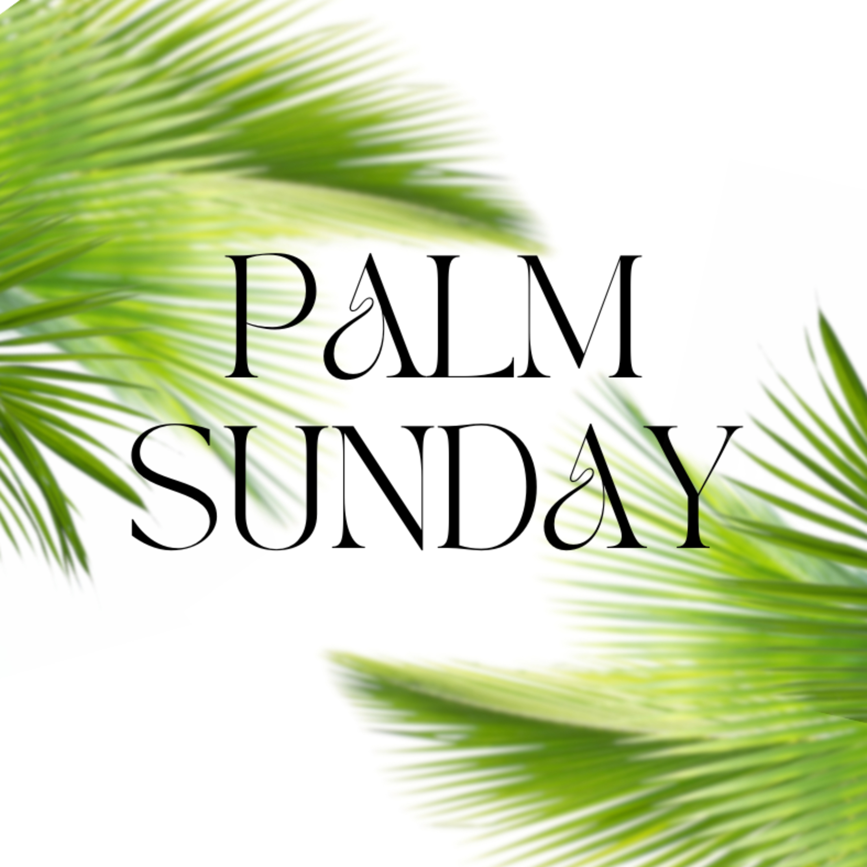 PALM SUNDAY: Which Group Are You? Luke 19:28-40 (Pastor Jon Keeler 3/29/26) episode artwork
