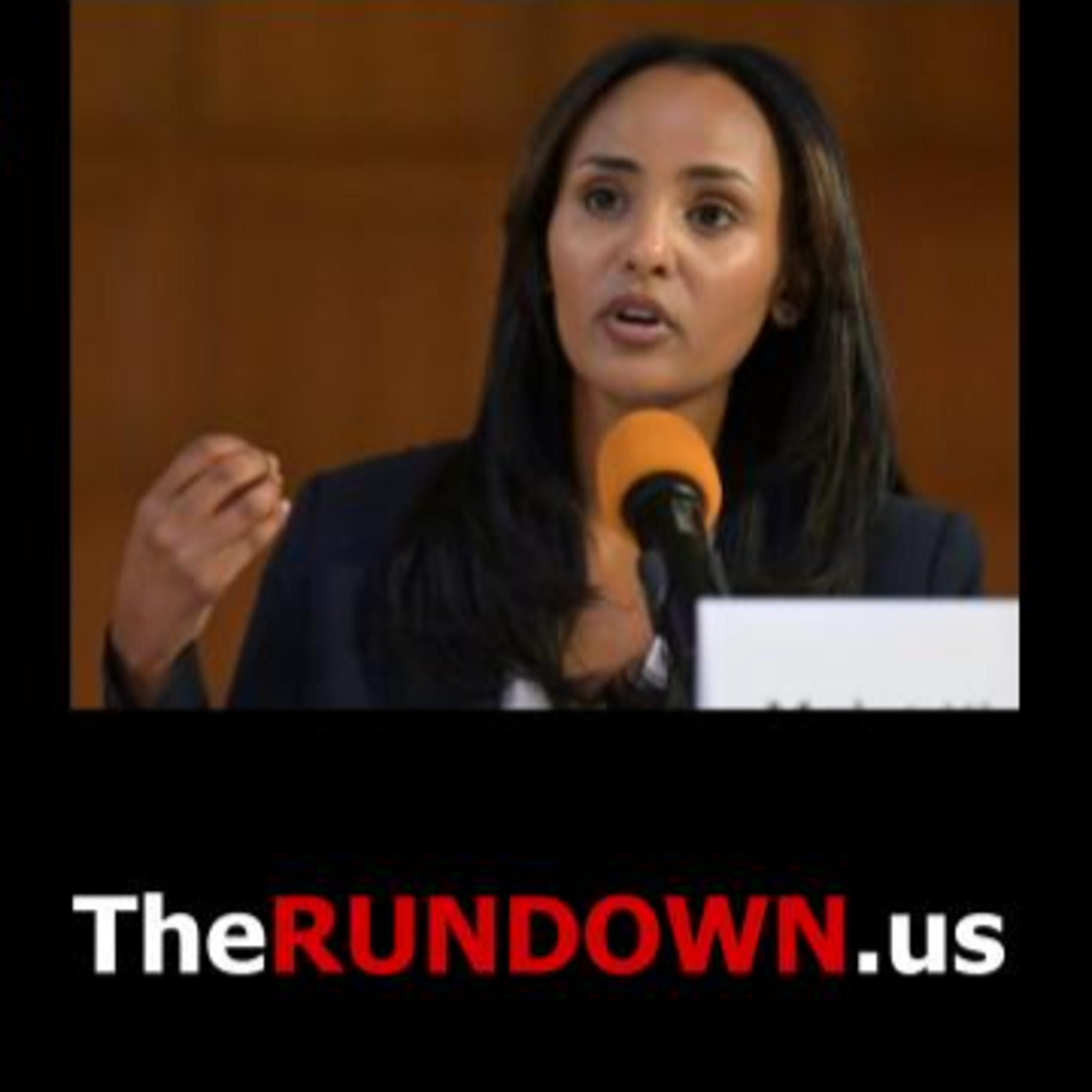 #1149 - Democrat: U.S. Must Elect More Immigrants from ‘Global South’ episode artwork