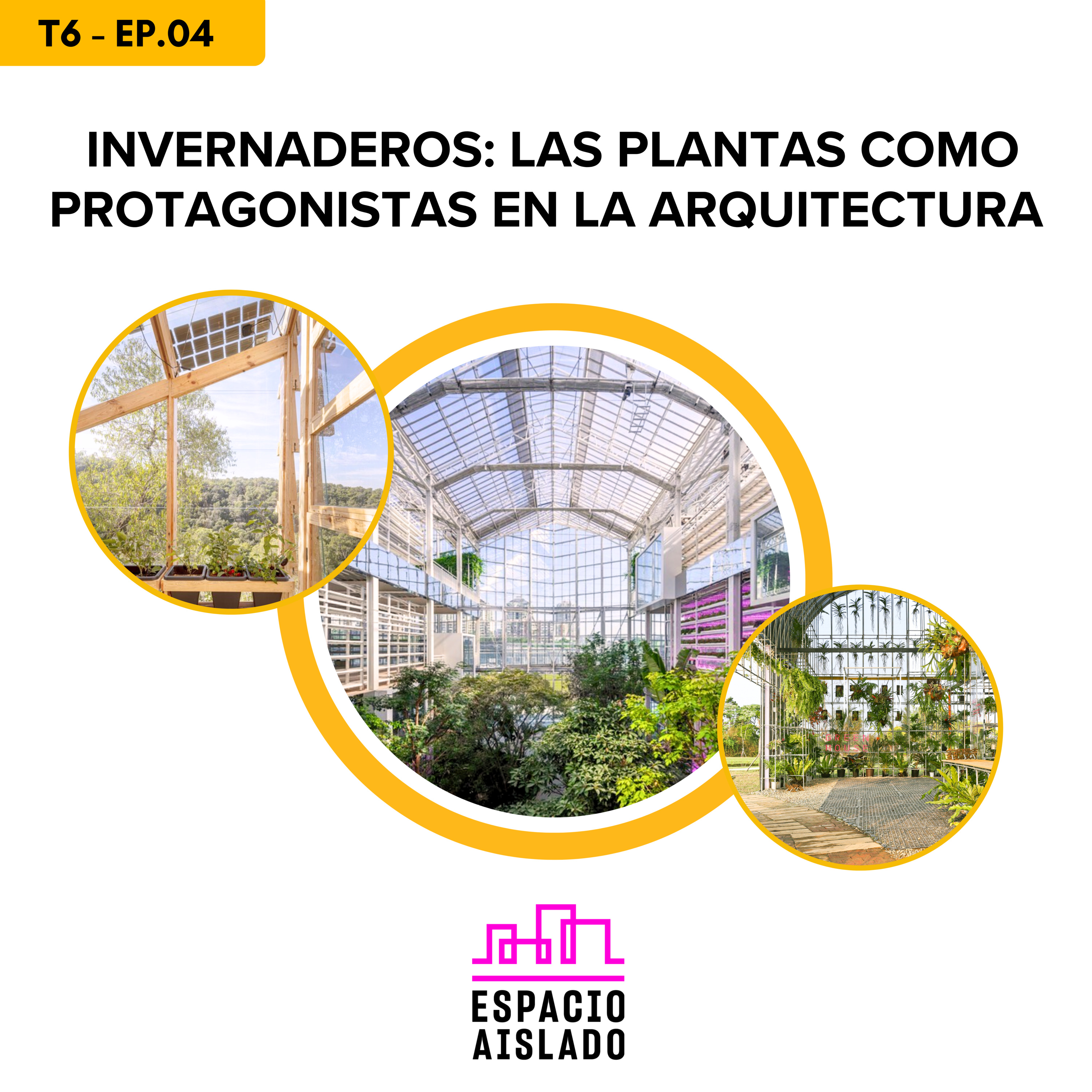 Invernaderos: las plantas como protagonistas en la arquitectura - Espacio Aislado - Radio UPN episode artwork