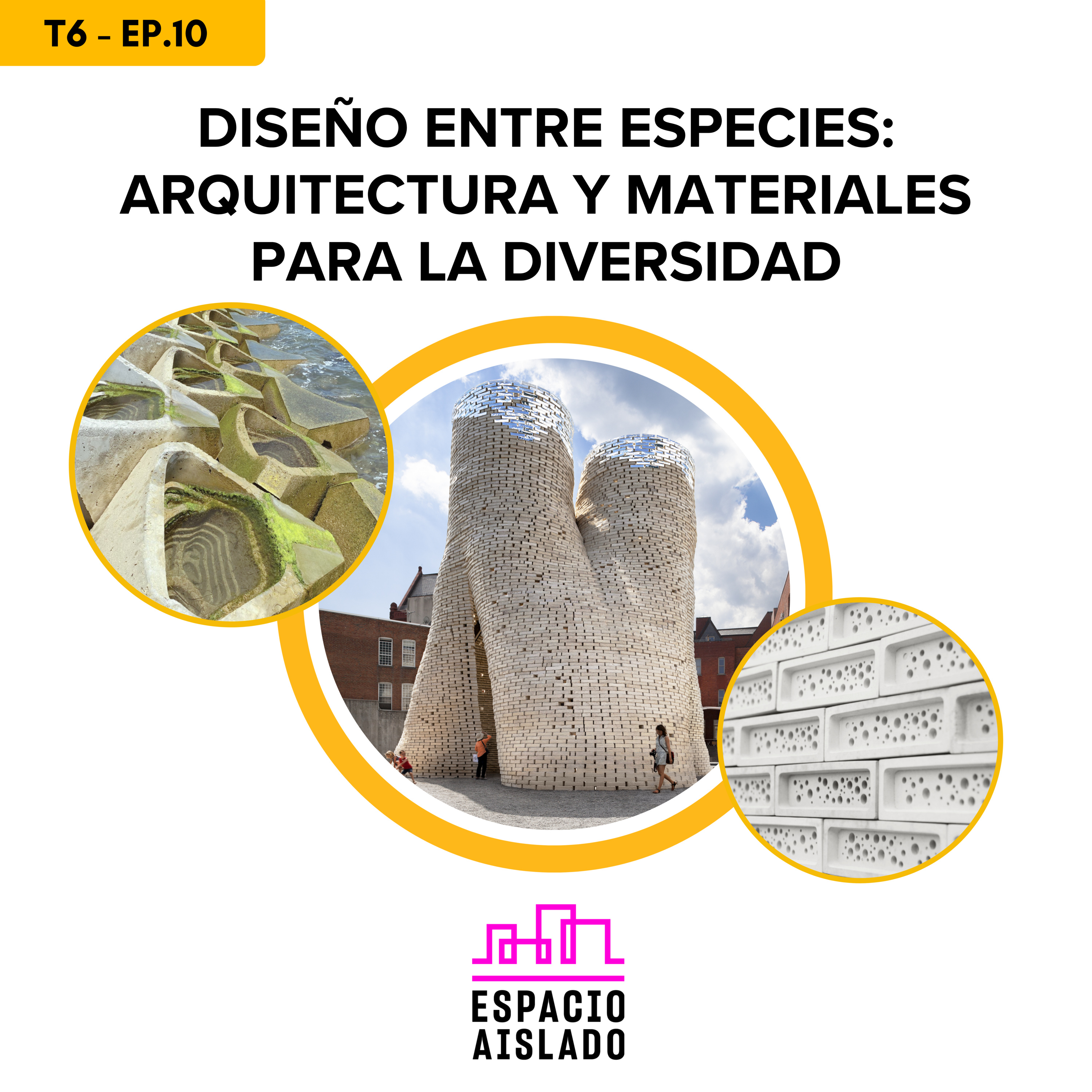 Diseño entre especies: Arquitectura y Materiales para la Diversidad - Espacio Aislado/Reinventados - Radio UPN episode artwork