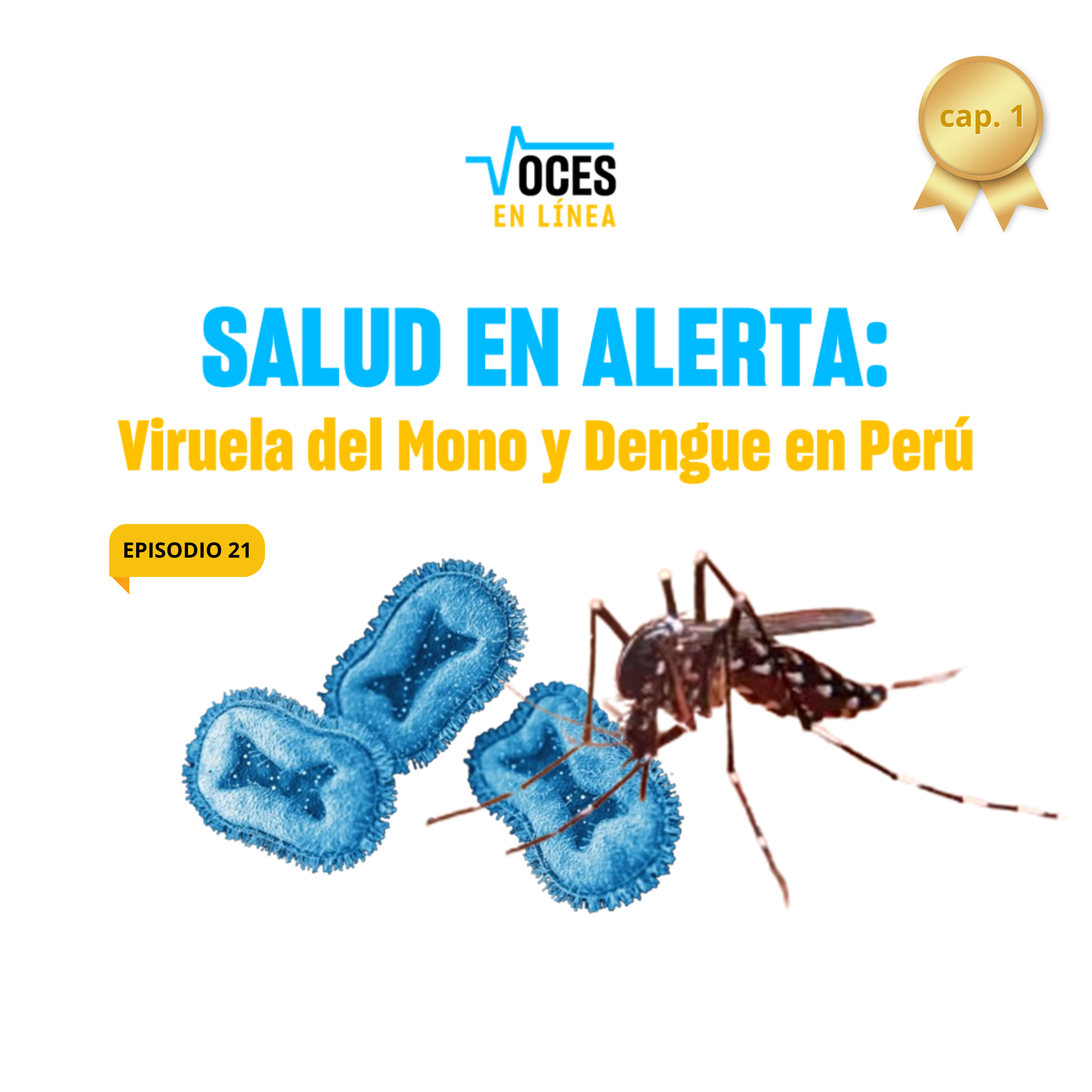 🚨 SALUD EN ALERTA (Cap.1): Viruela del Mono y Dengue en Perú 🚨 - Voces en Línea - Radio UPN episode artwork