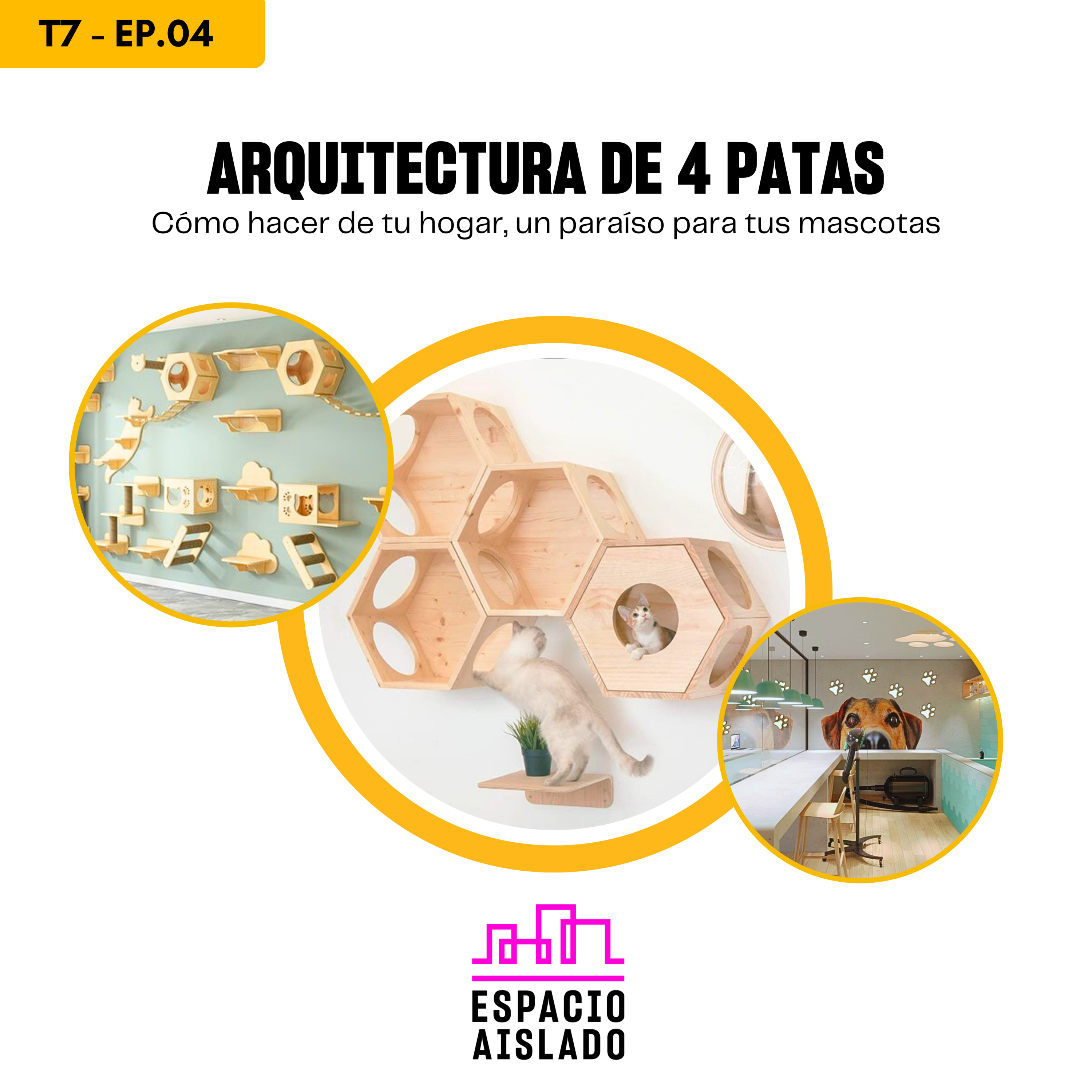 Arquitectura de 4 patas: Cómo hacer de tu hogar, un paraíso para tus mascotas - Espacio Aislado - Radio UPN episode artwork