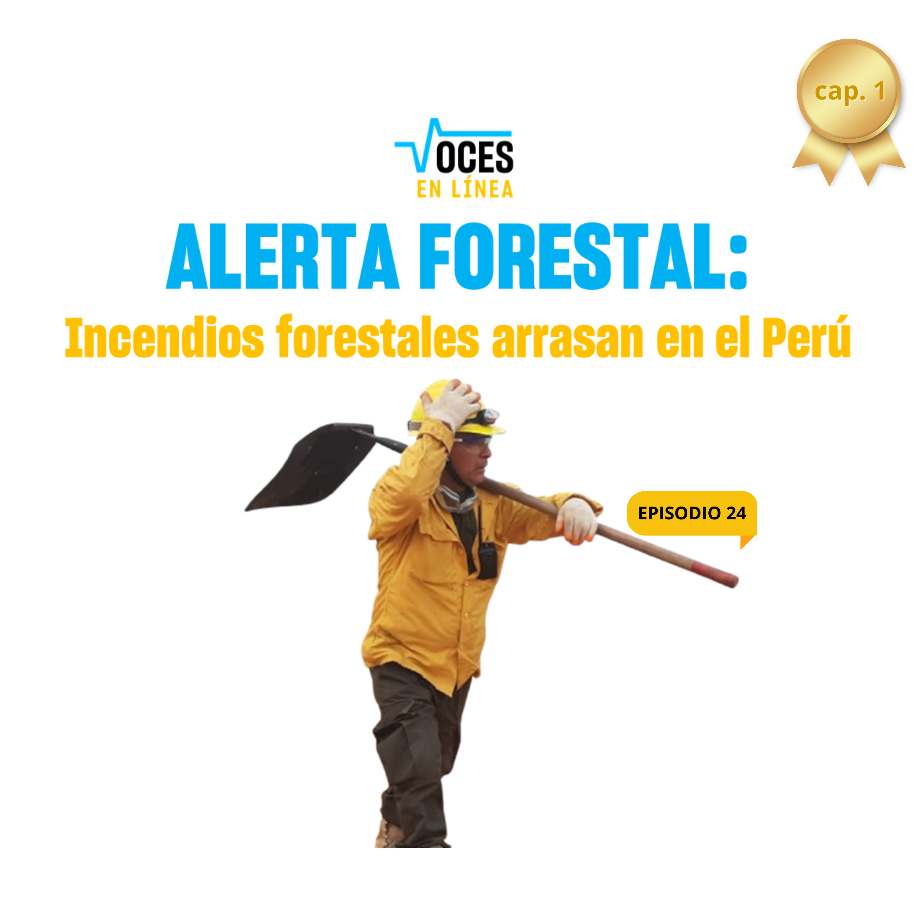 🔥 ALERTA FORESTAL (cap. 1): Incendios Forestales Arrasan en Perú 🔥- VOCES EN LÍNEA - RADIO UPN episode artwork
