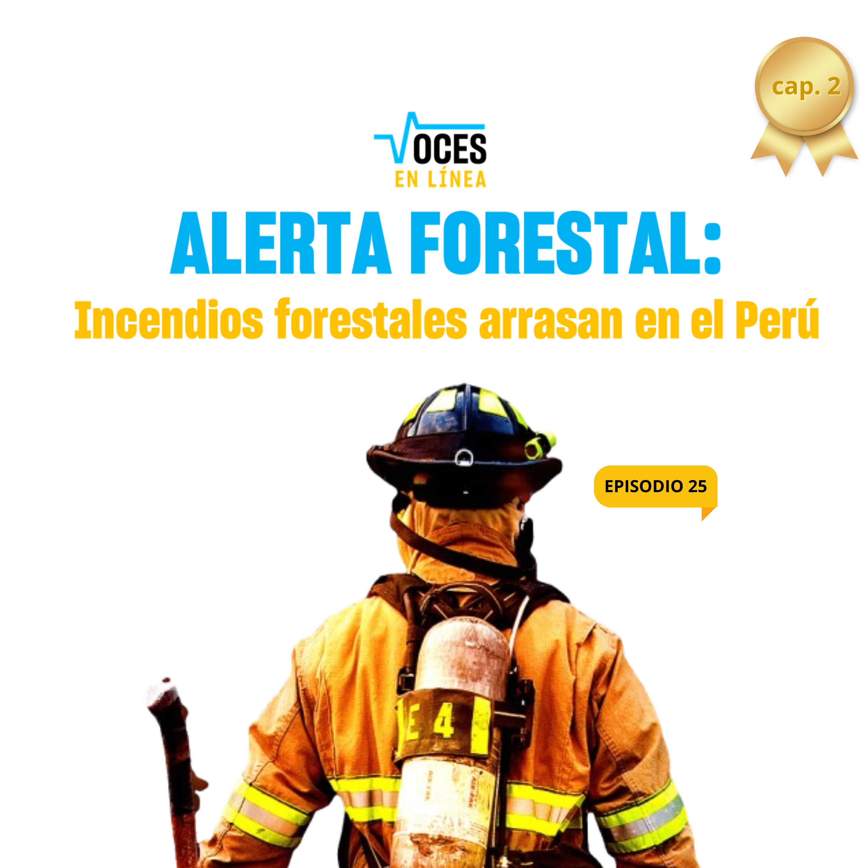 🔥ALERTA FORESTAL (cap. 2): Los incendios no se detienen 🔥- VOCES EN LÍNEA - RADIO UPN episode artwork