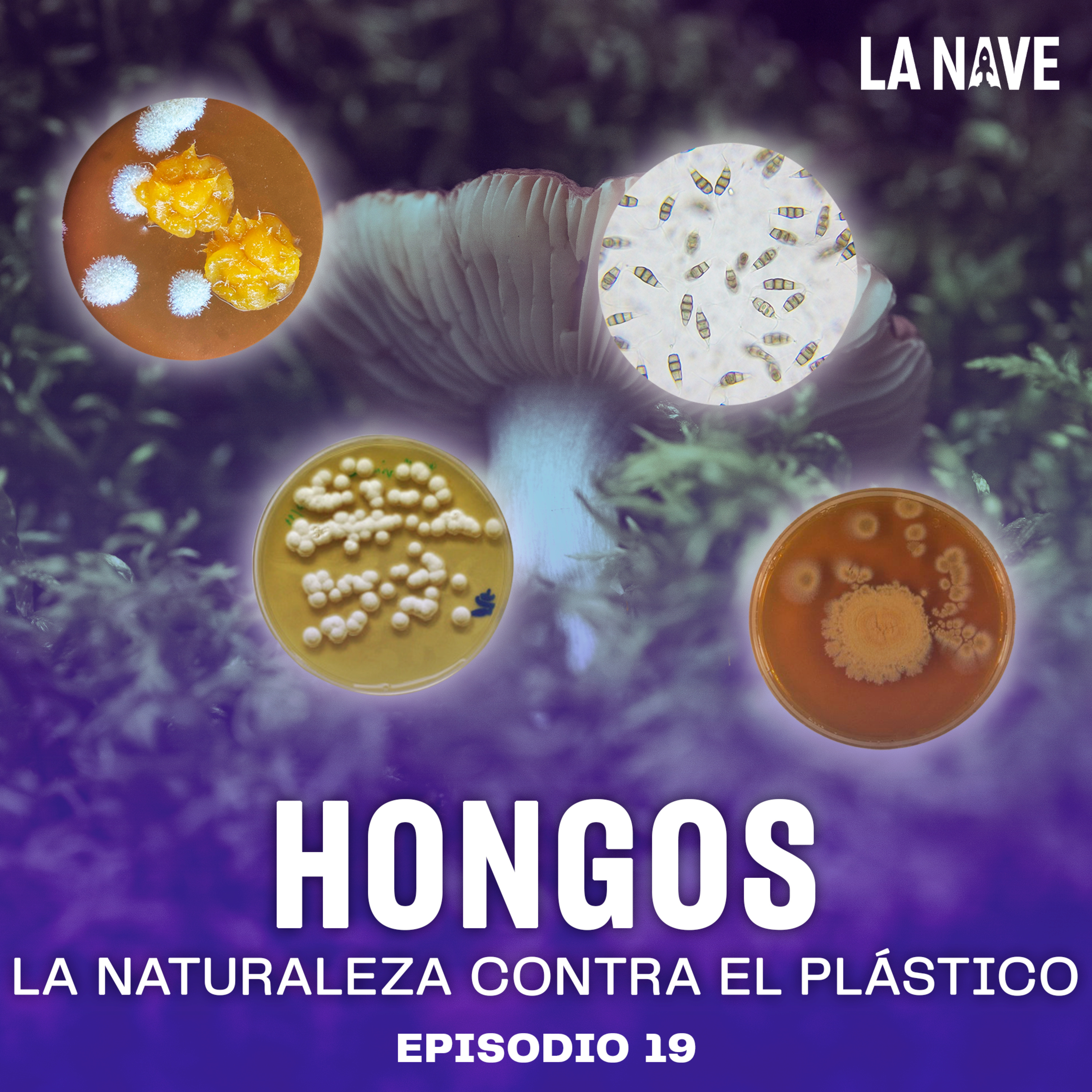 Hongos: La naturaleza contra el plástico - LA NAVE - Radio UPN episode artwork