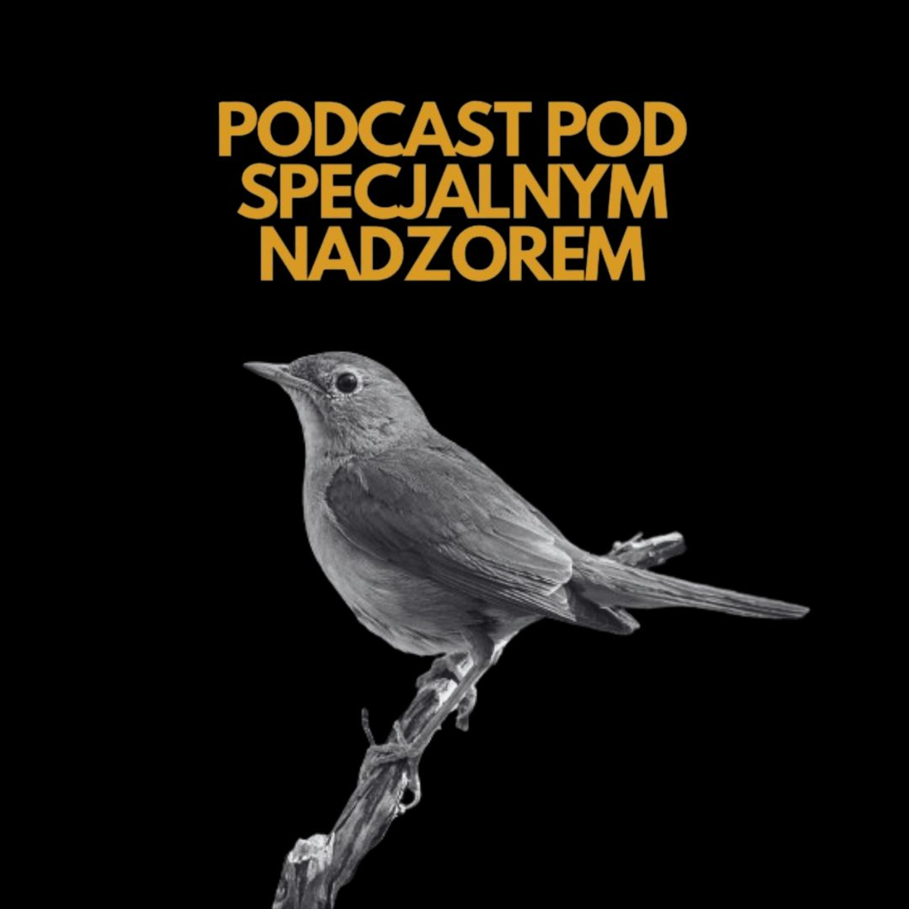 Podcast pod specjalnym nadzorem