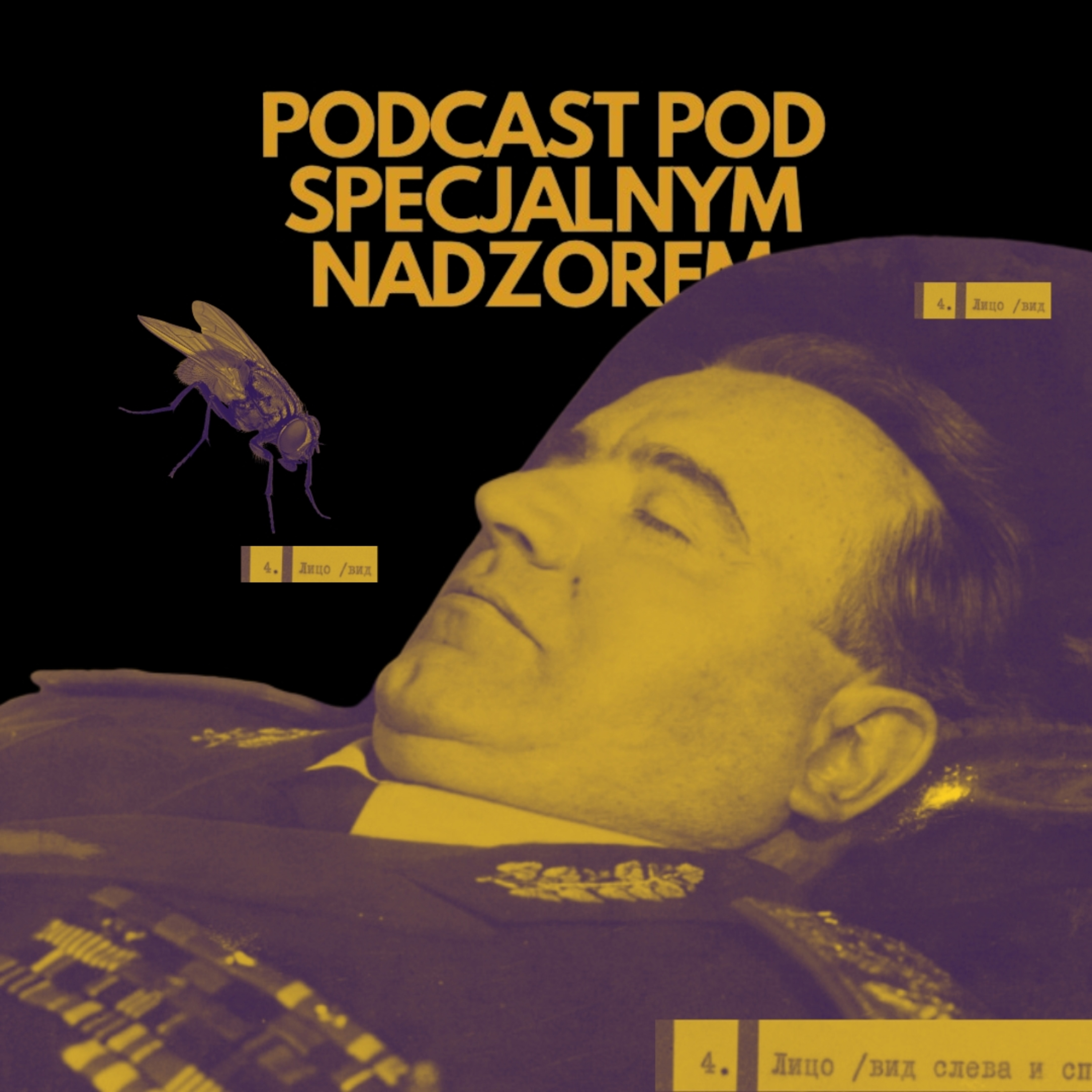 67. Jak się robi mumię  episode artwork