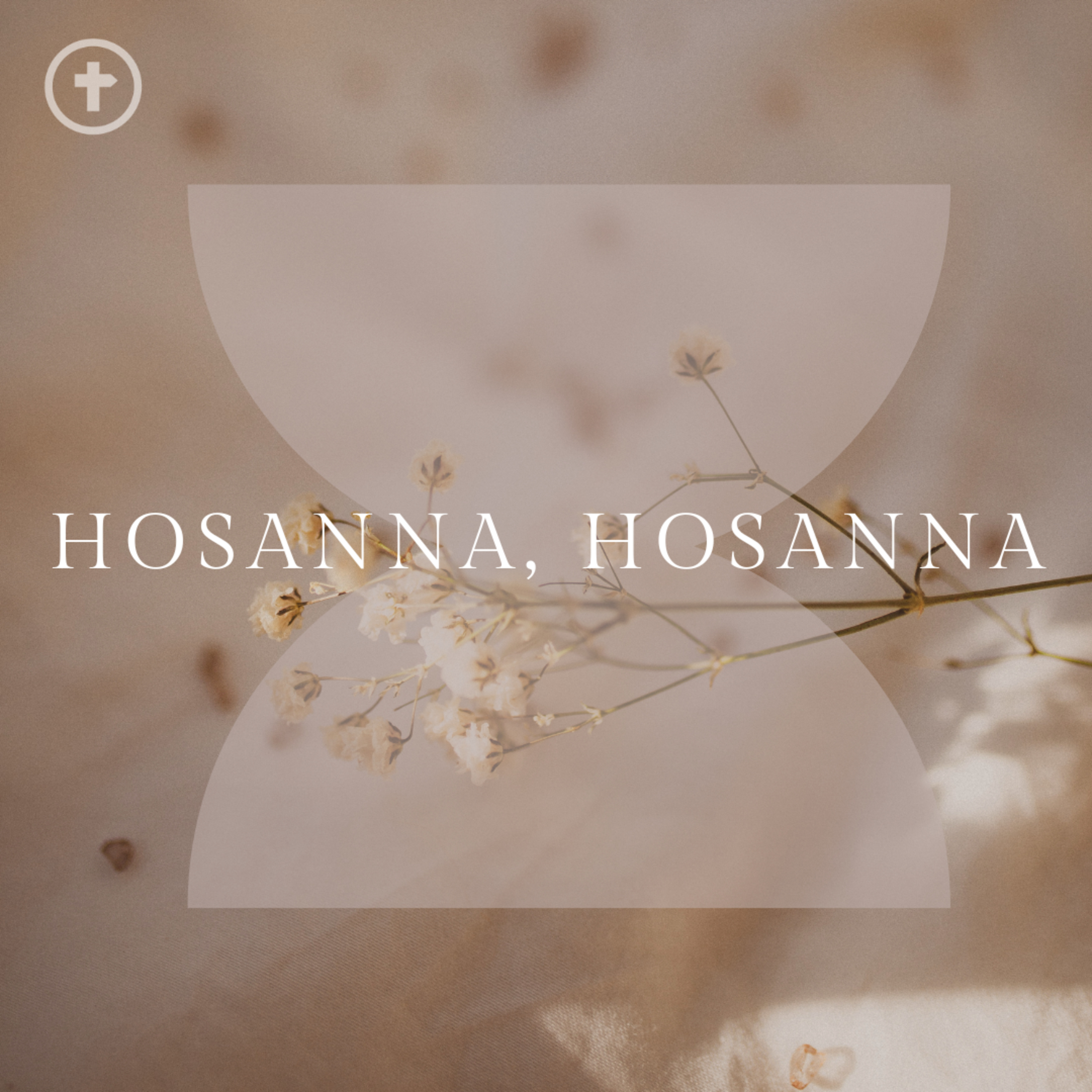 Hosanna, Hosanna - Magda Zarożna episode artwork