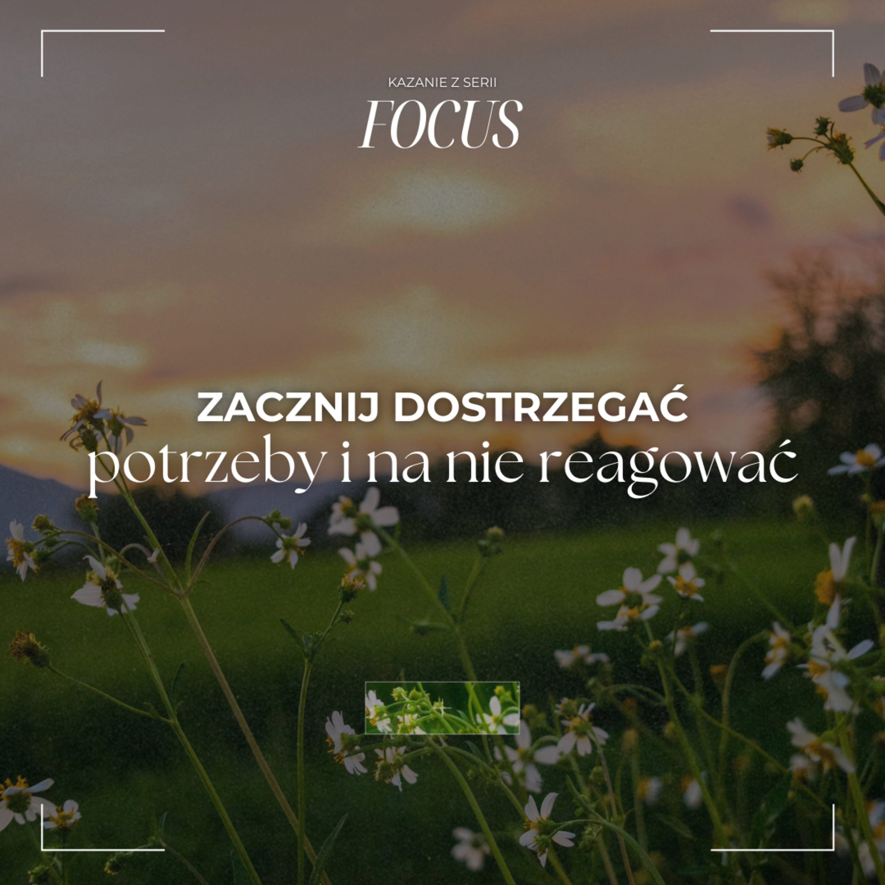 Zacznij dostrzegać potrzeby i na nie reagować - Magda Zarożna episode artwork