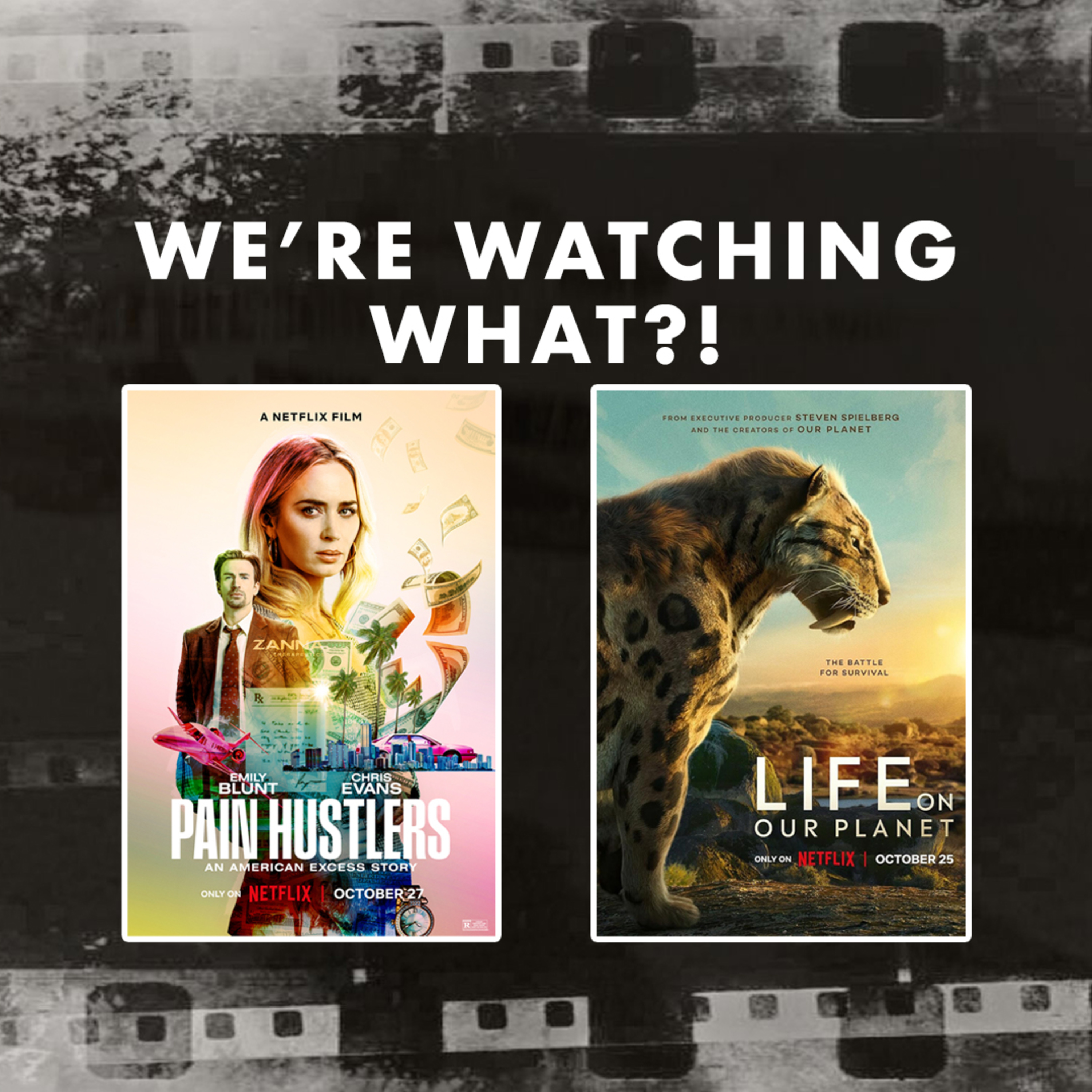Review - Pain Hustlers | Life on Our Planet