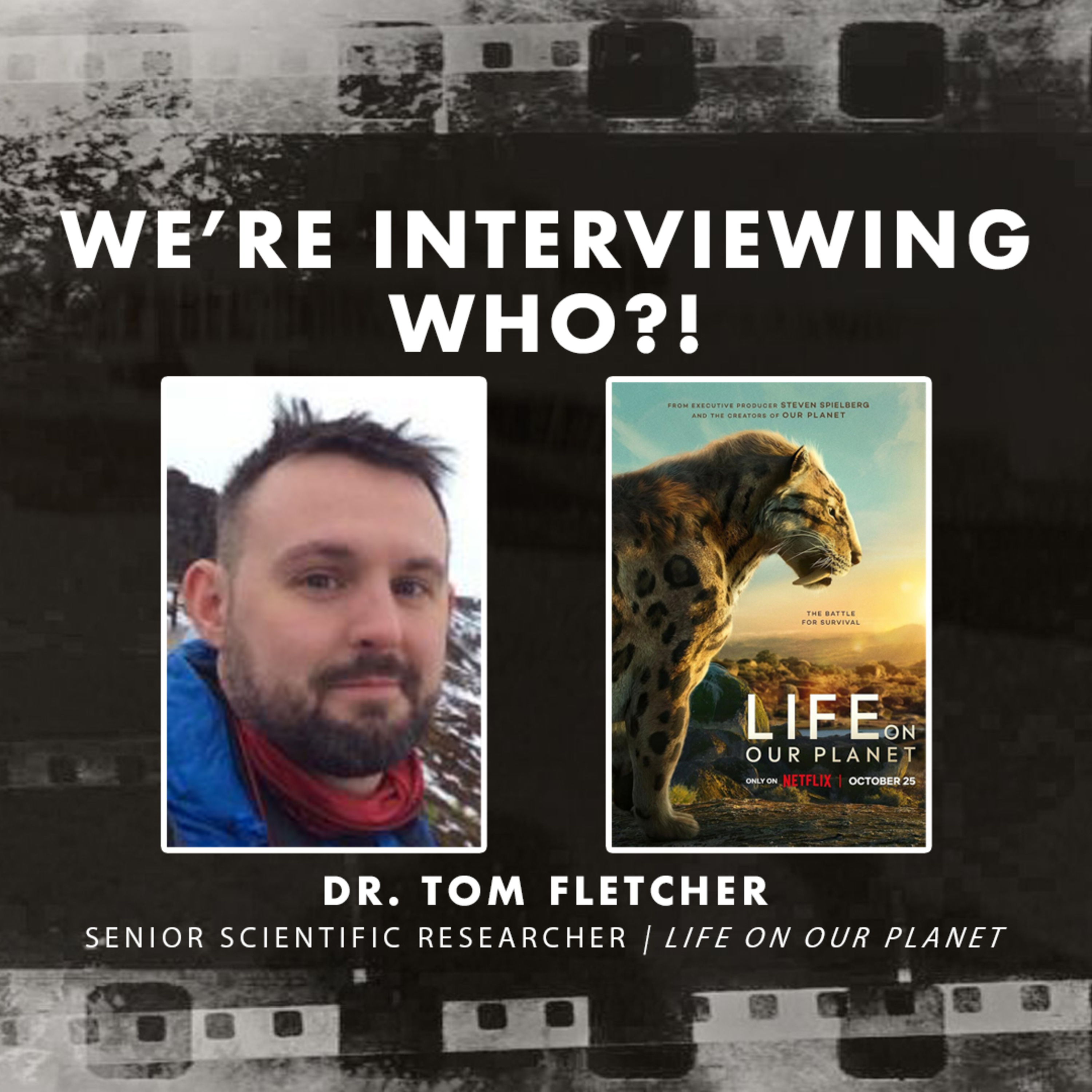 We're Interviewing Who?! - Dr. Tom Fletcher for Life on Our Planet