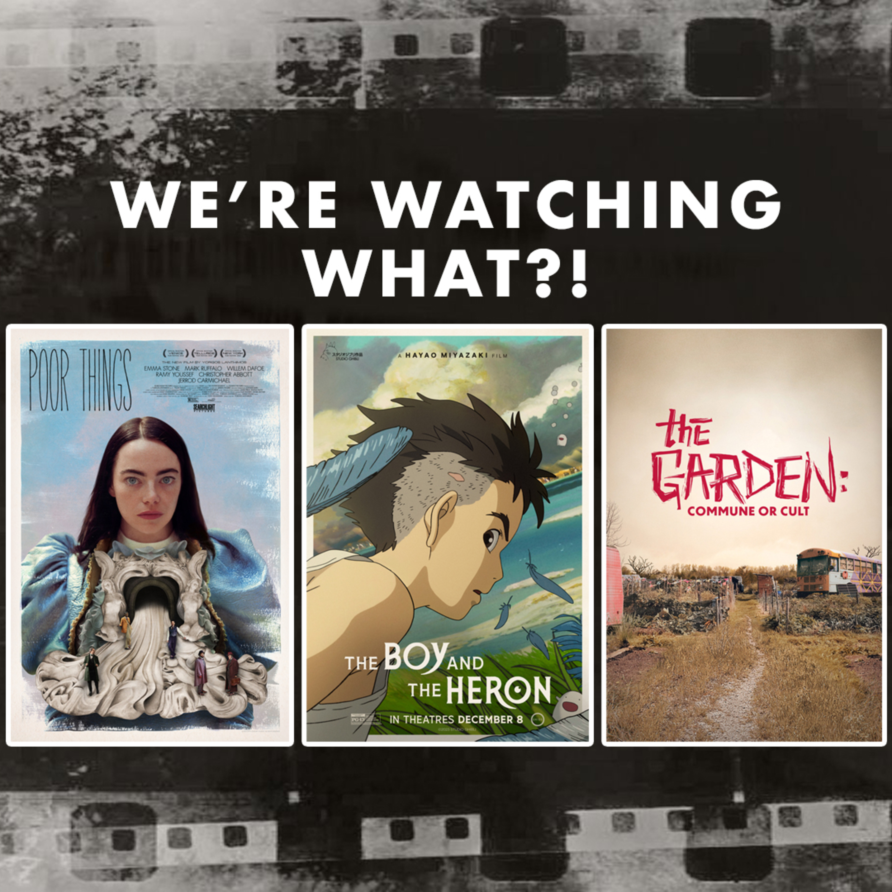 Review - Poor Things | The Boy and the Heron | The Garden: Commune or Cult