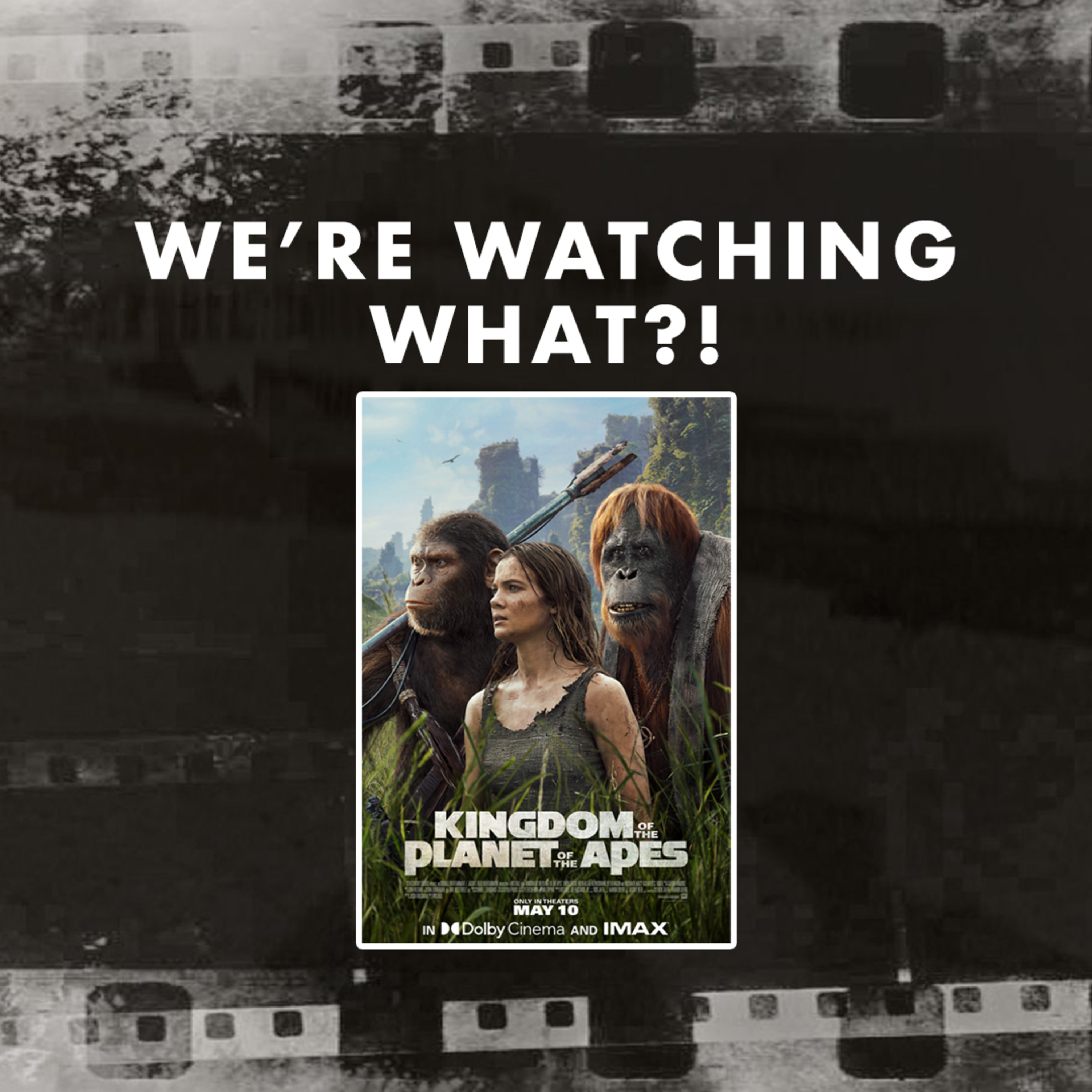 Review - Kingdom of the Planet of the Apes