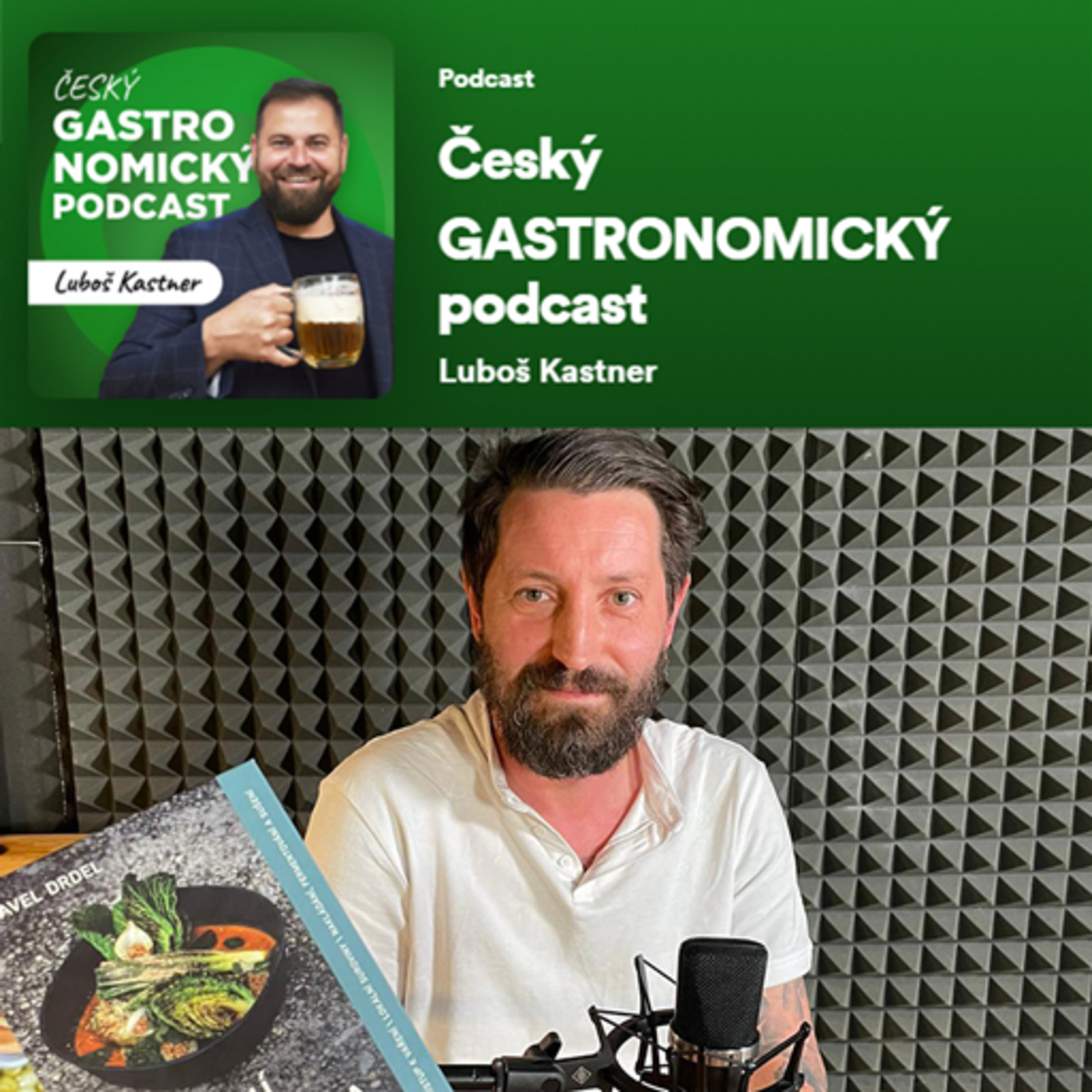 Pavel Drdel, Sůl & Řepa – Přiznávám, že jsem udělal několik špatných rozhodnutí