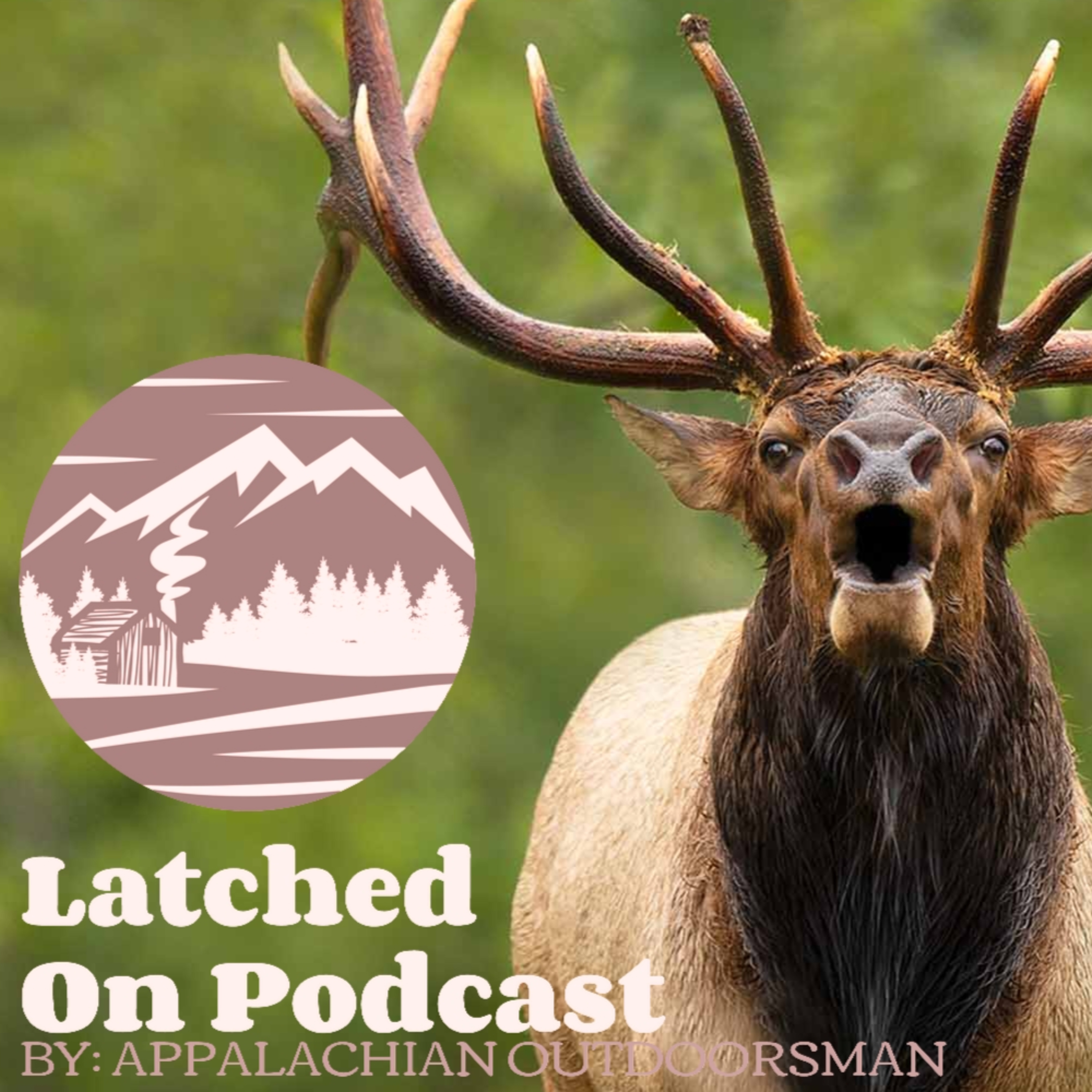 #11: Elk in the Appalachians