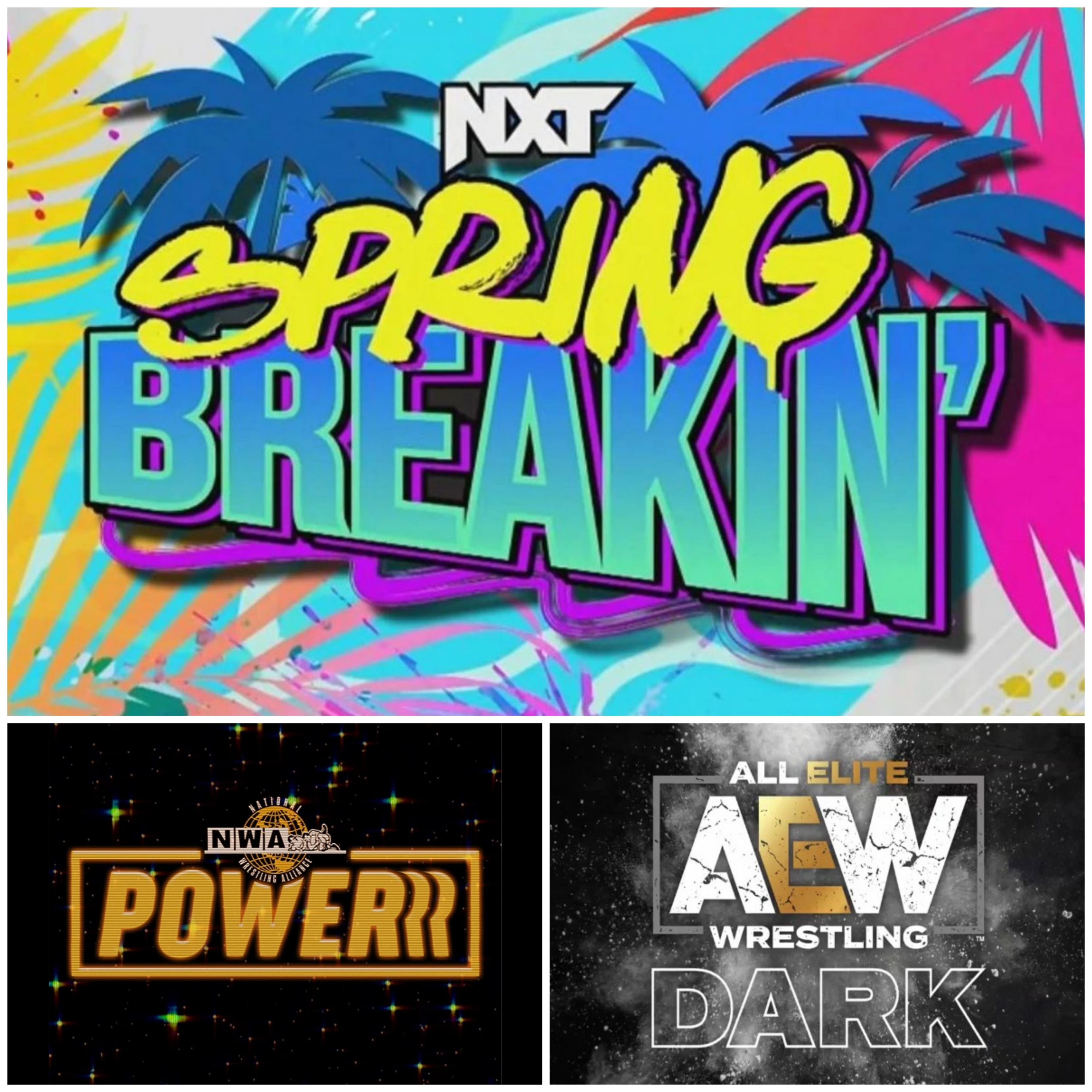 NXT „Spring Breakin' 2023“ ,NWA Powerrr und AEW Dark vom 25.04.2023 - Ausgabe 560 vom 26.04.2023. episode artwork