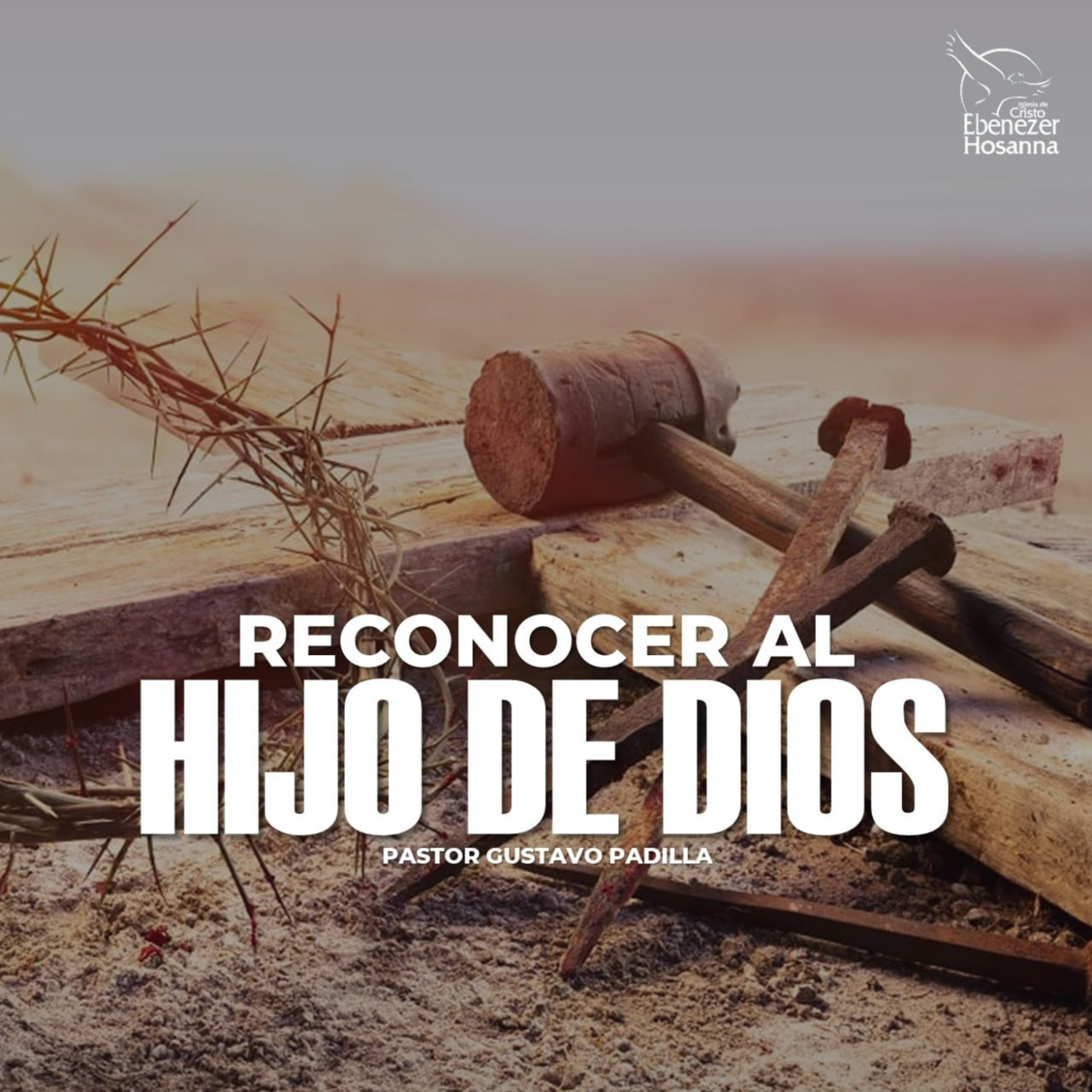 Reconocer al Hijo de Dios episode artwork