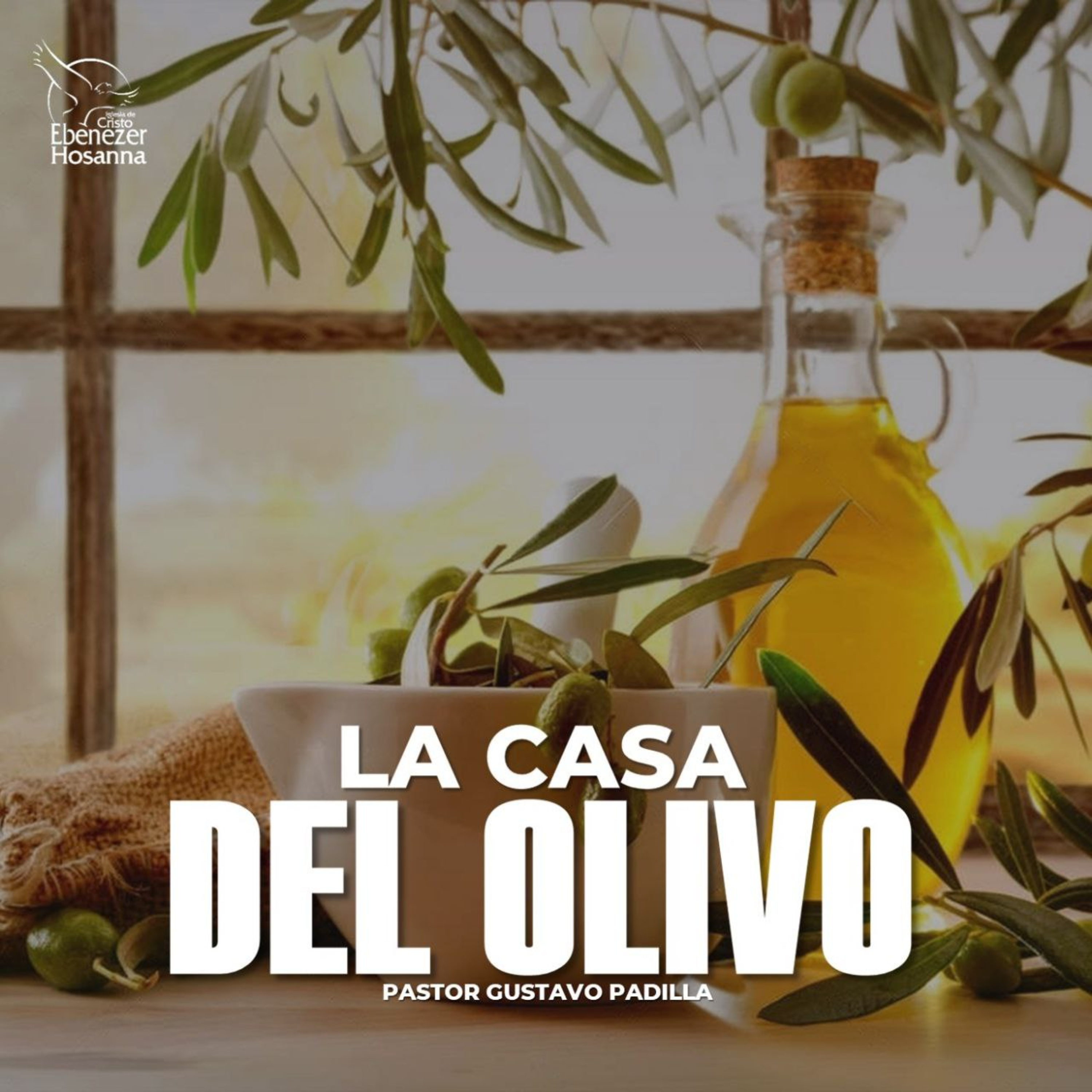 La Casa del Olivo episode artwork