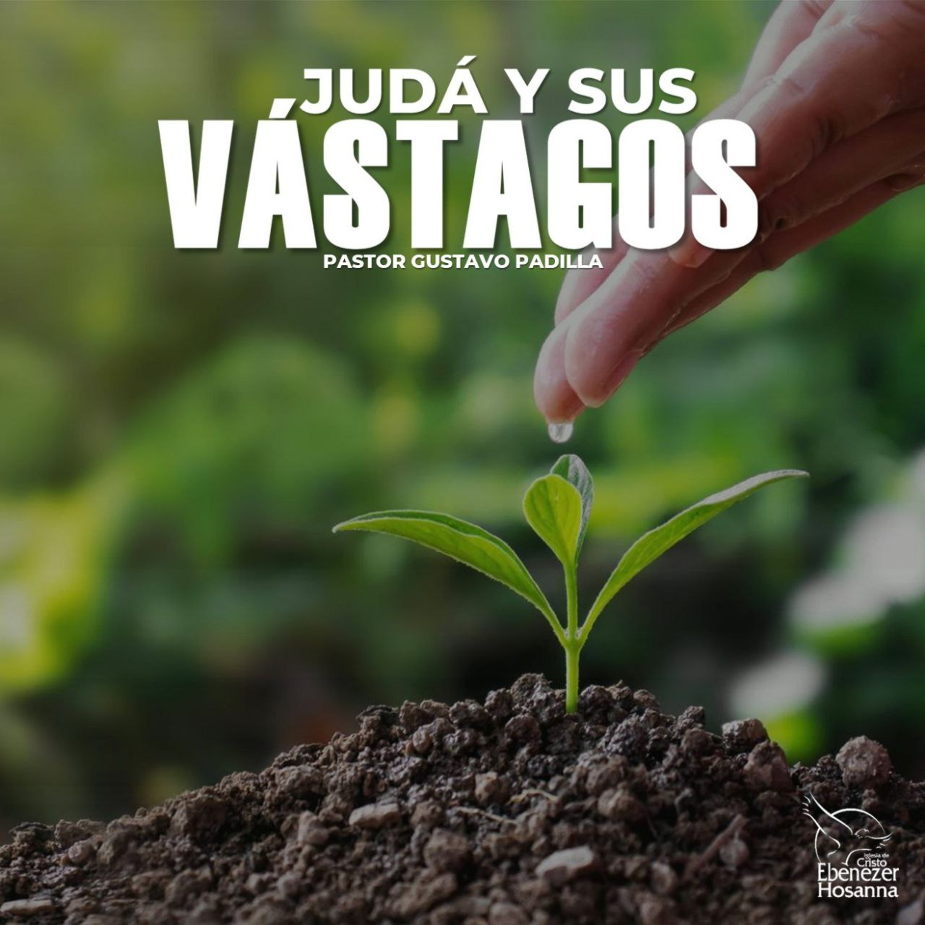 Judá y sus Vástagos episode artwork