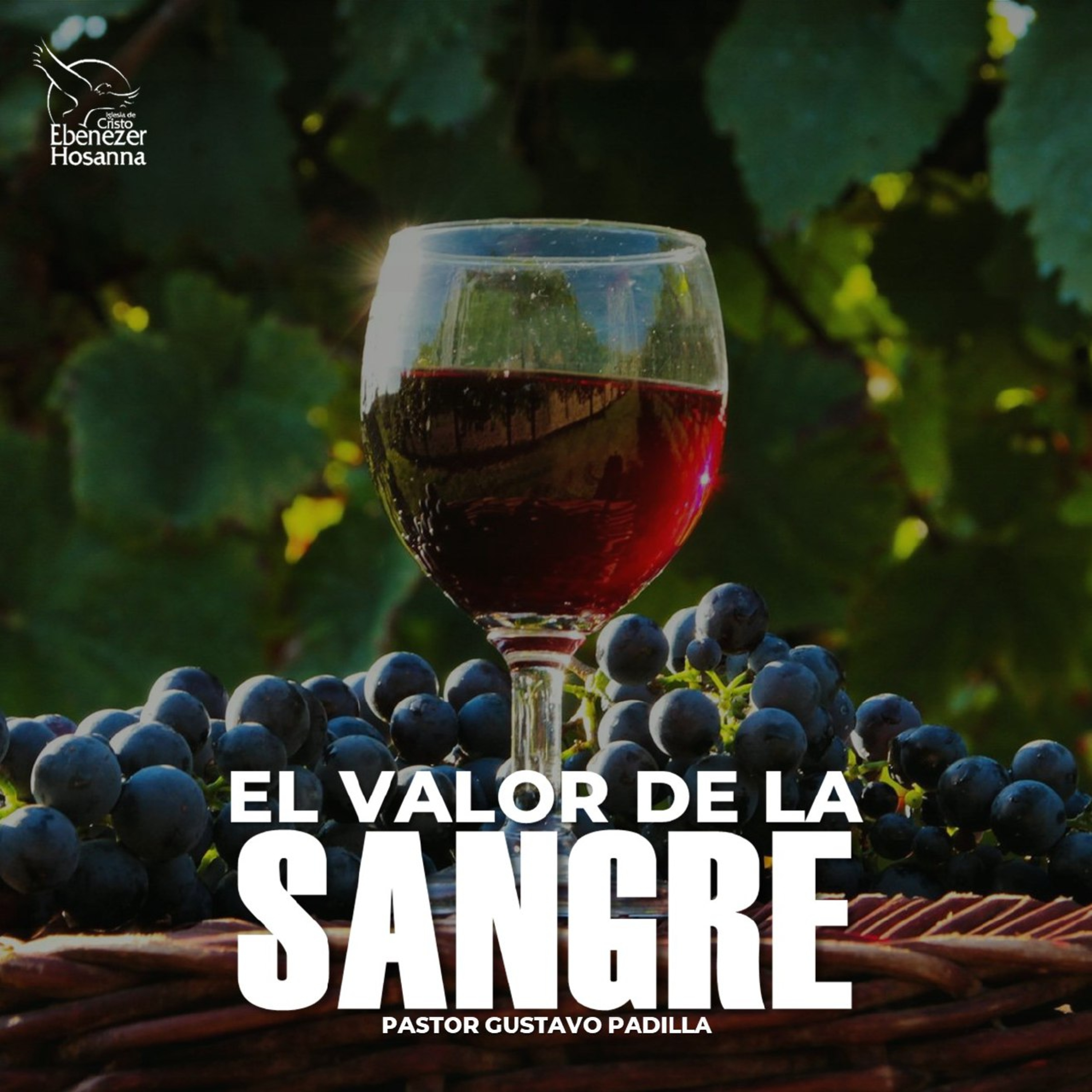El Valor de la Sangre episode artwork