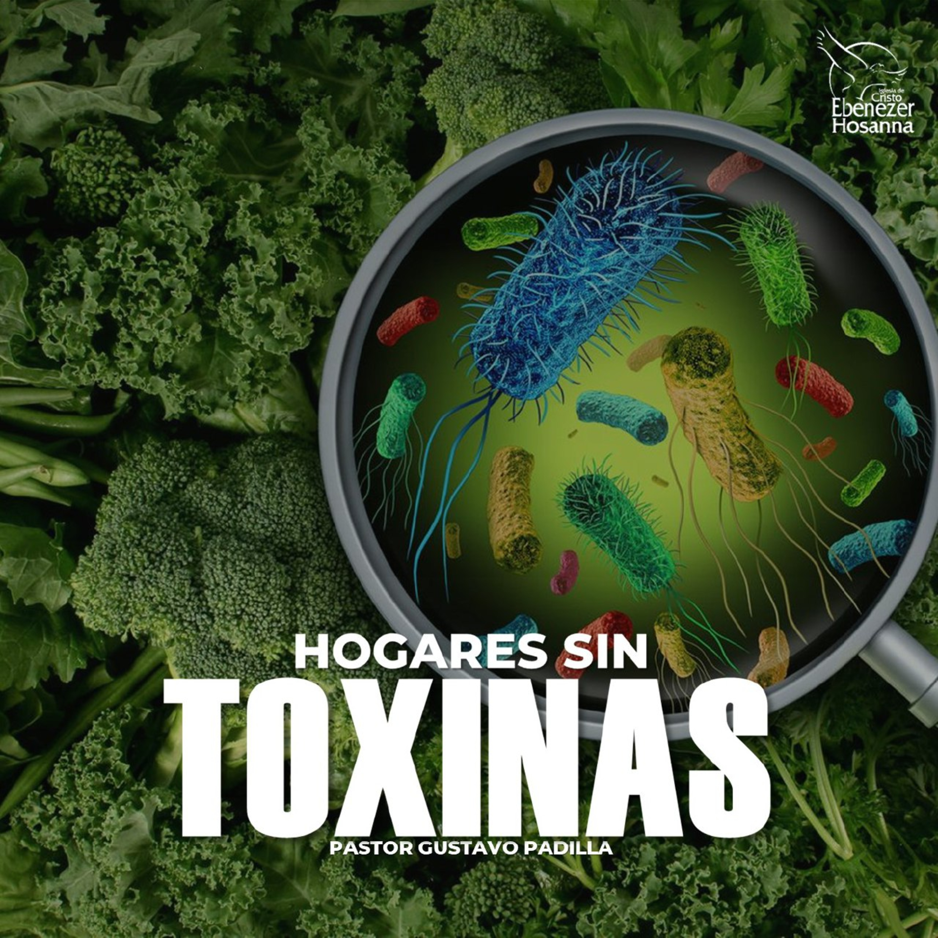 Hogares Sin Toxinas episode artwork