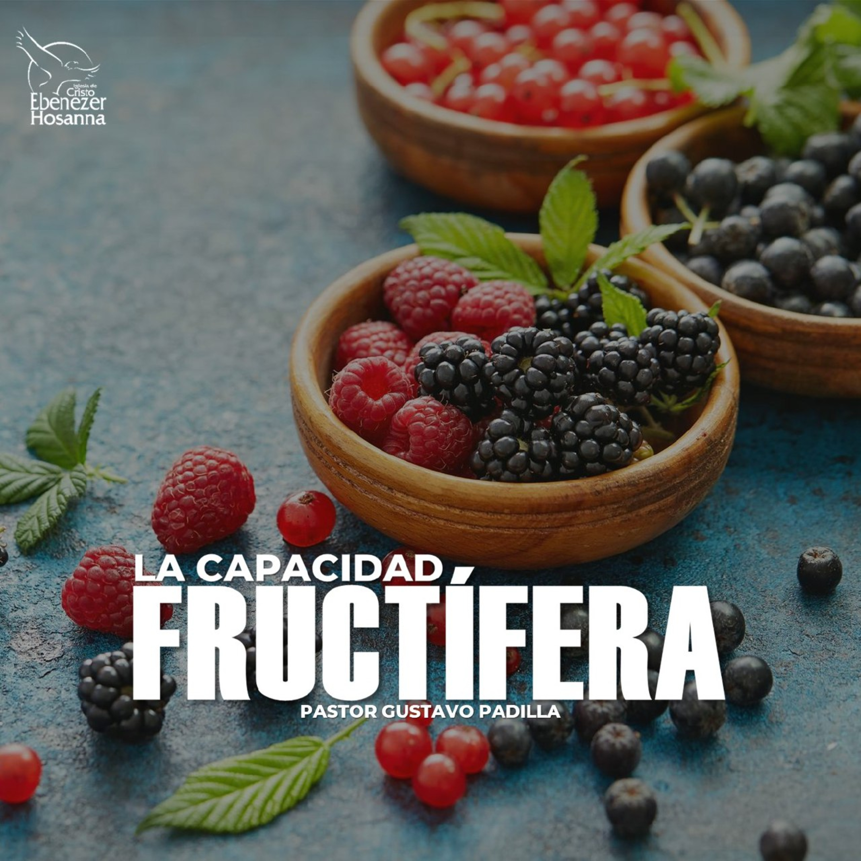 La Capacidad Fructífera episode artwork
