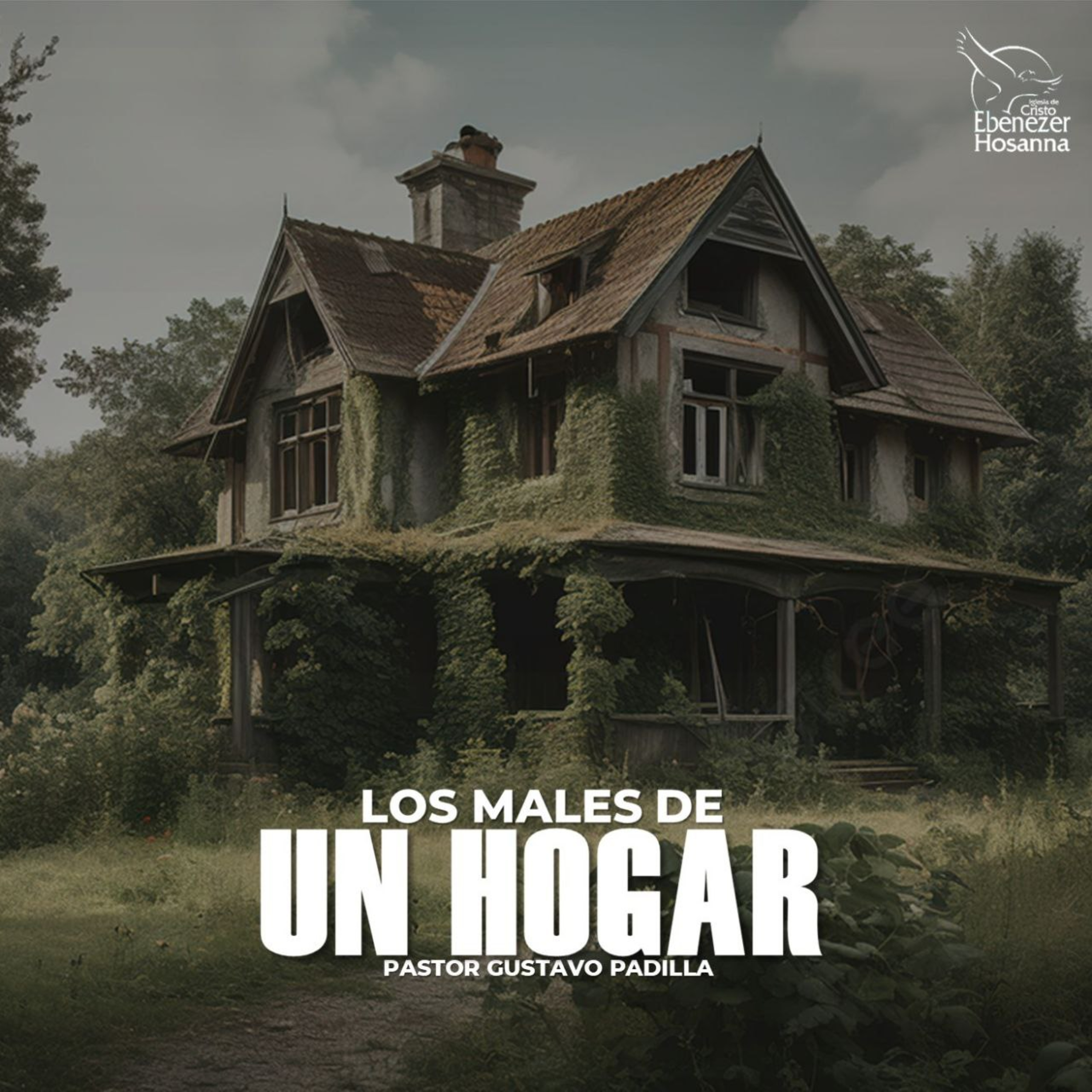 Los Males de un Hogar episode artwork