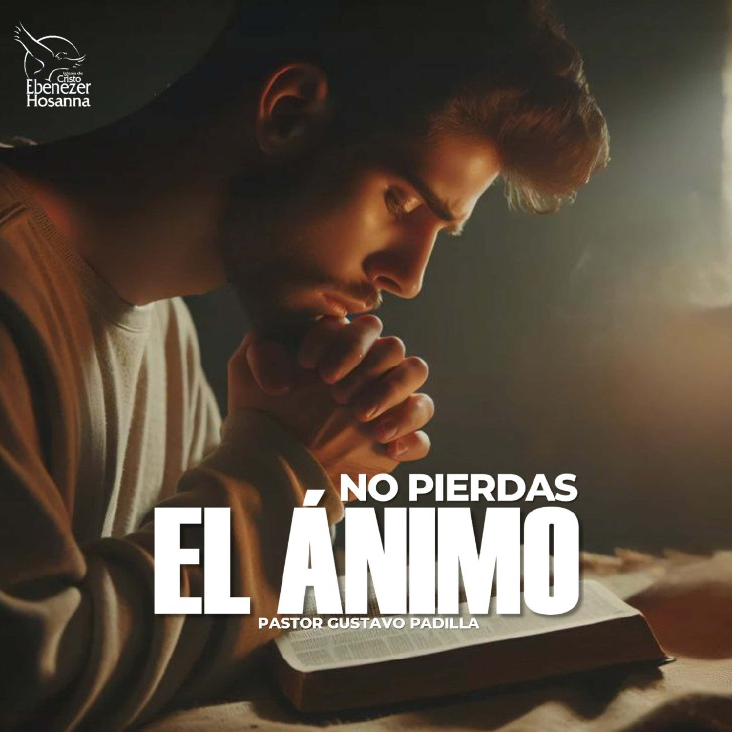No Pierdas el Ánimo episode artwork