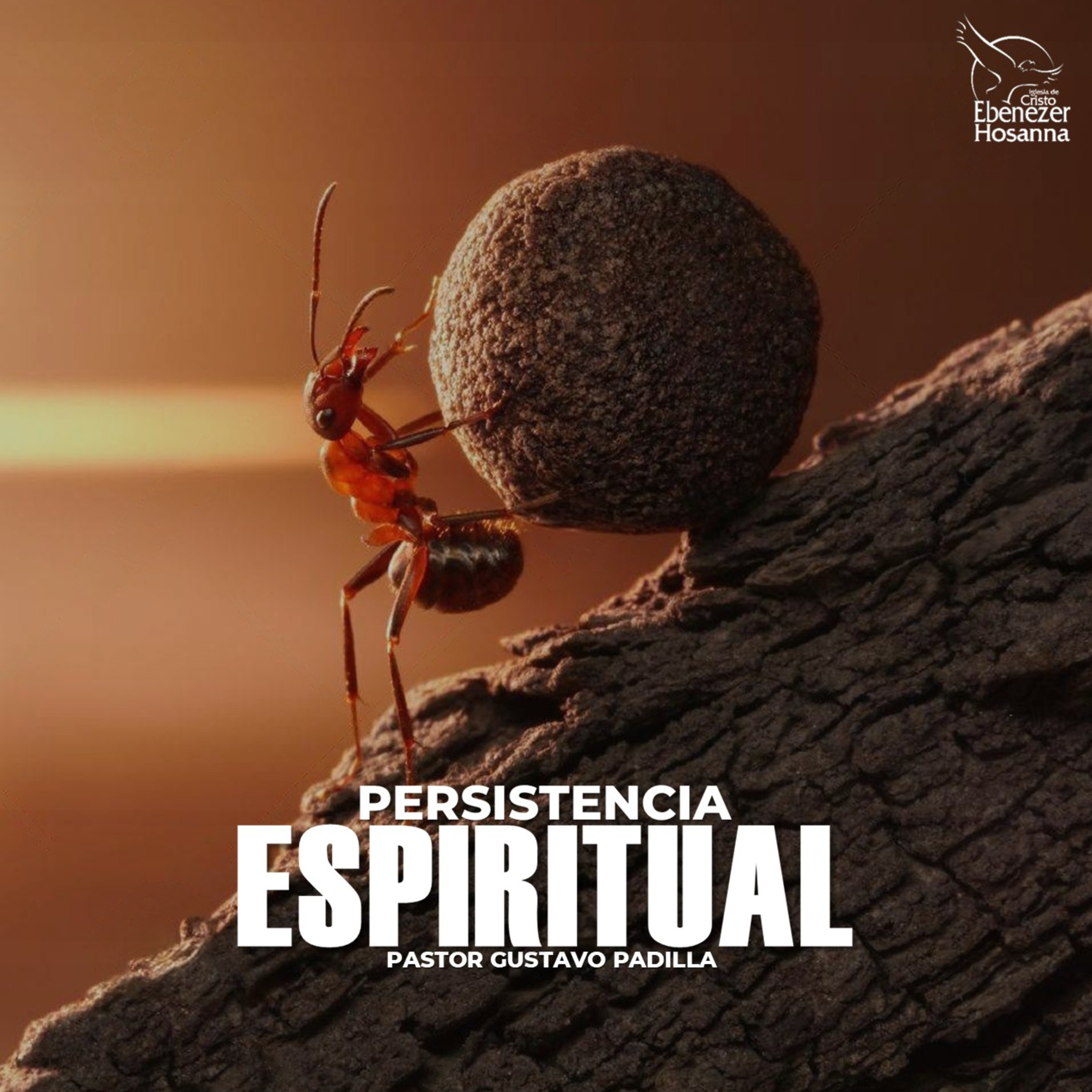 Persistencia Espiritual episode artwork