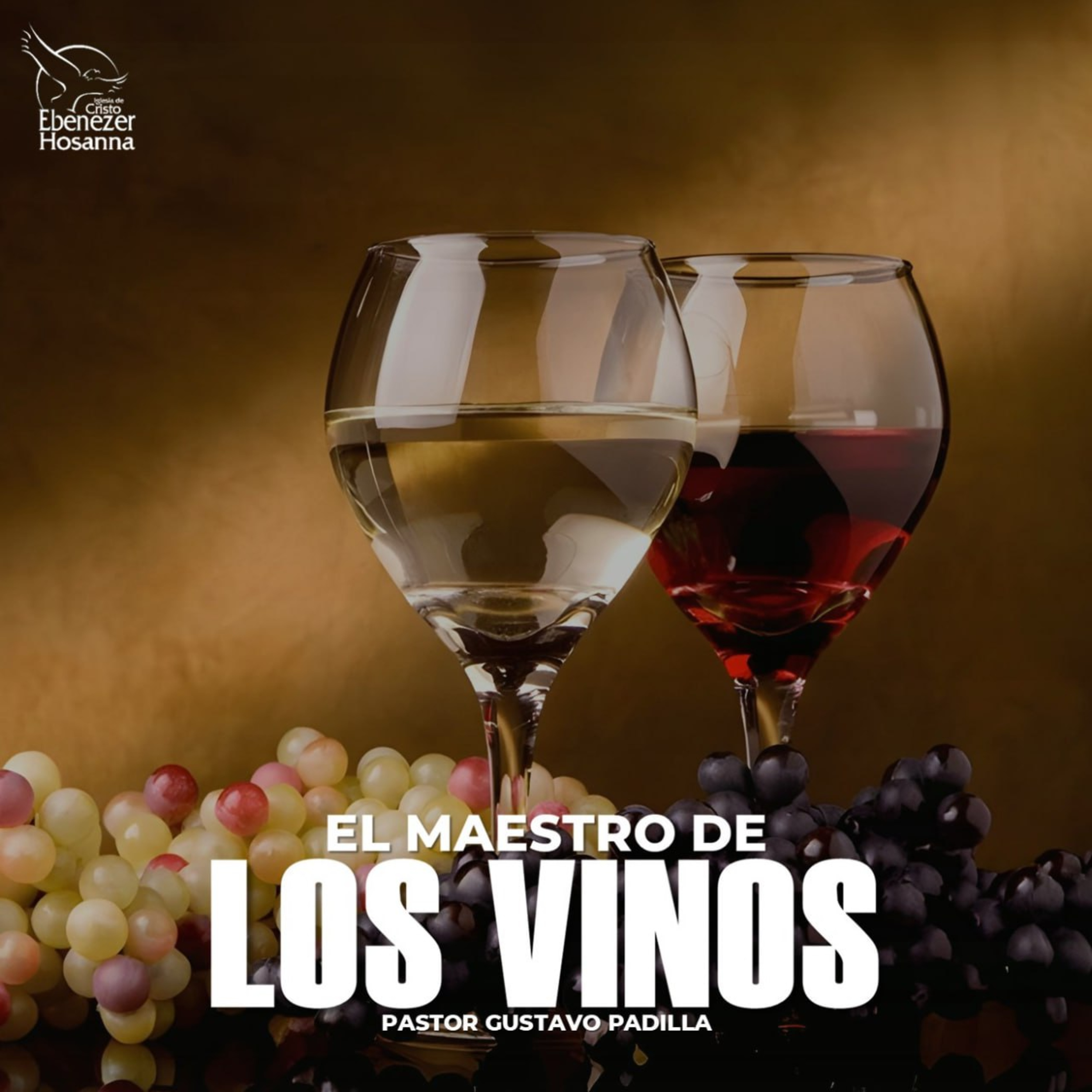 El Maestro de los Vinos episode artwork